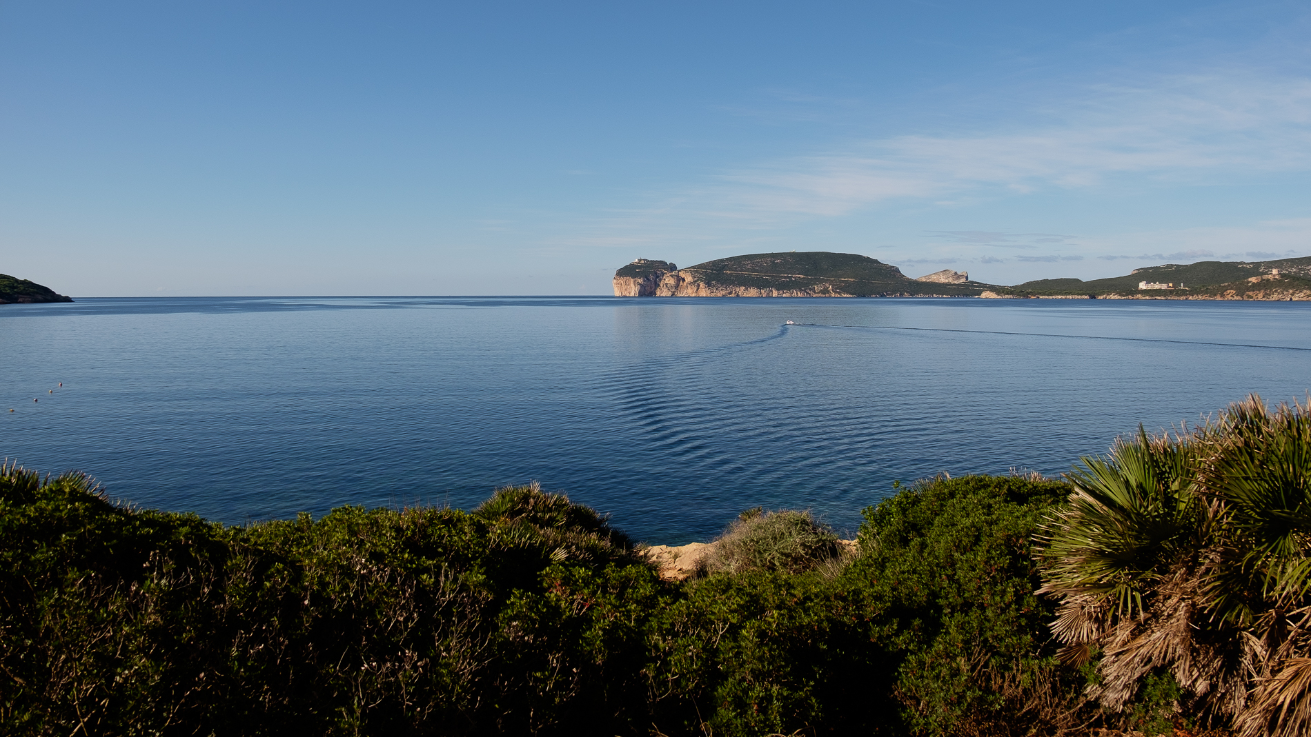 Porto Conte [Sardegna]
