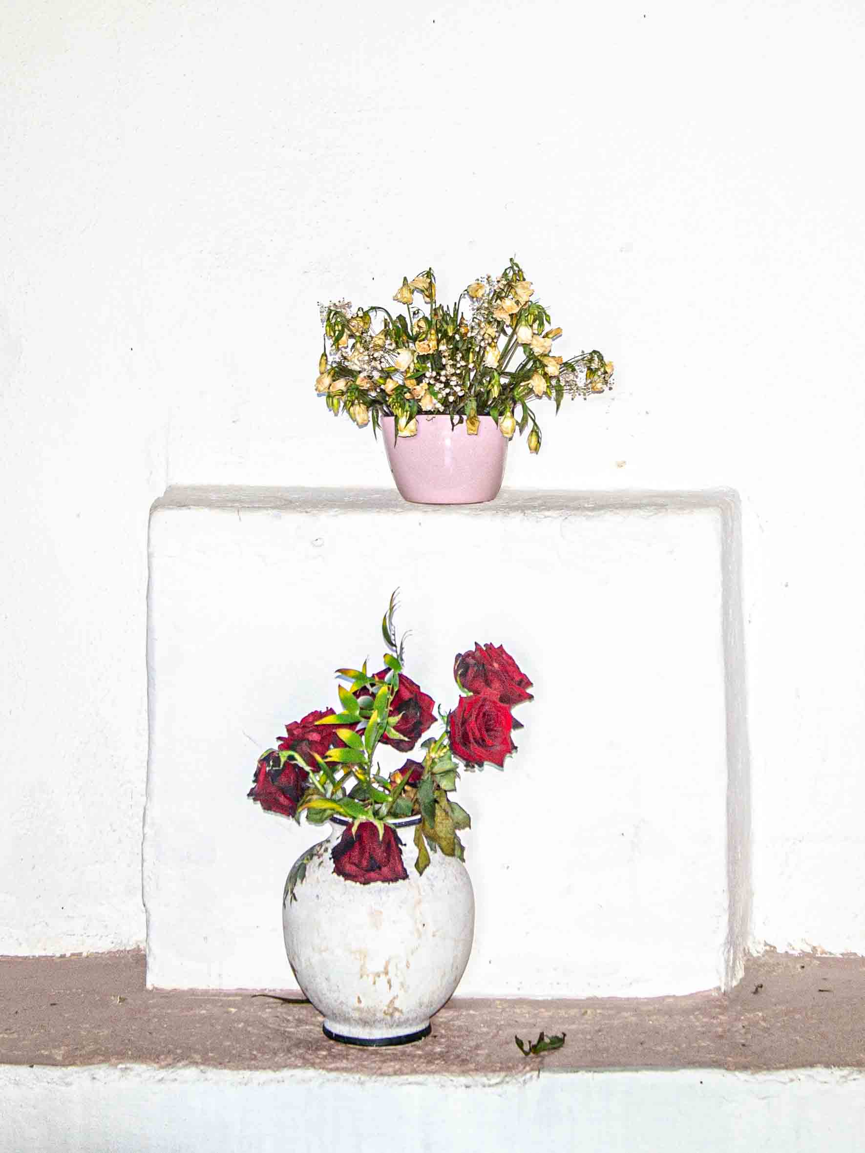 White and flowers