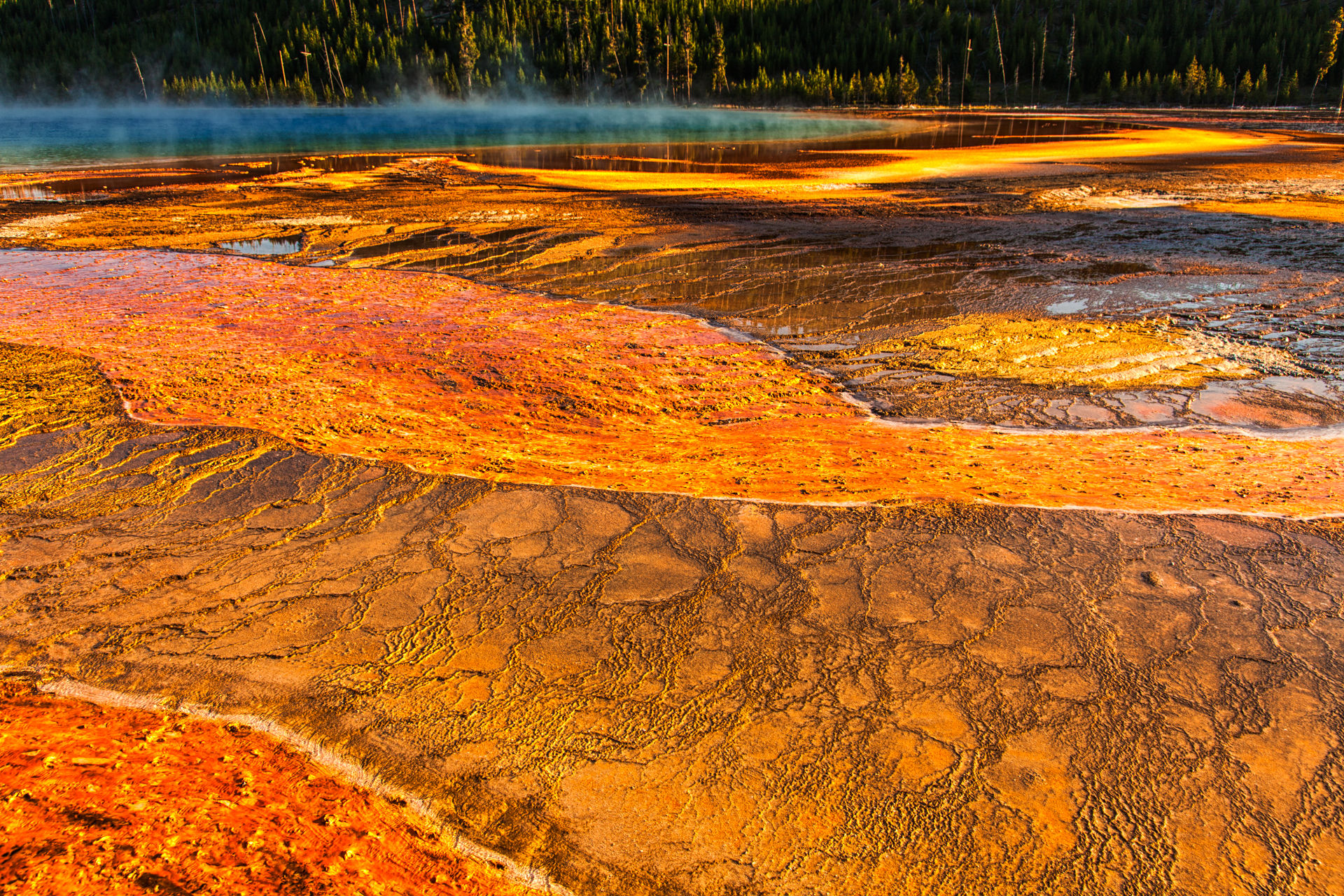 Grand Prismatic Spring