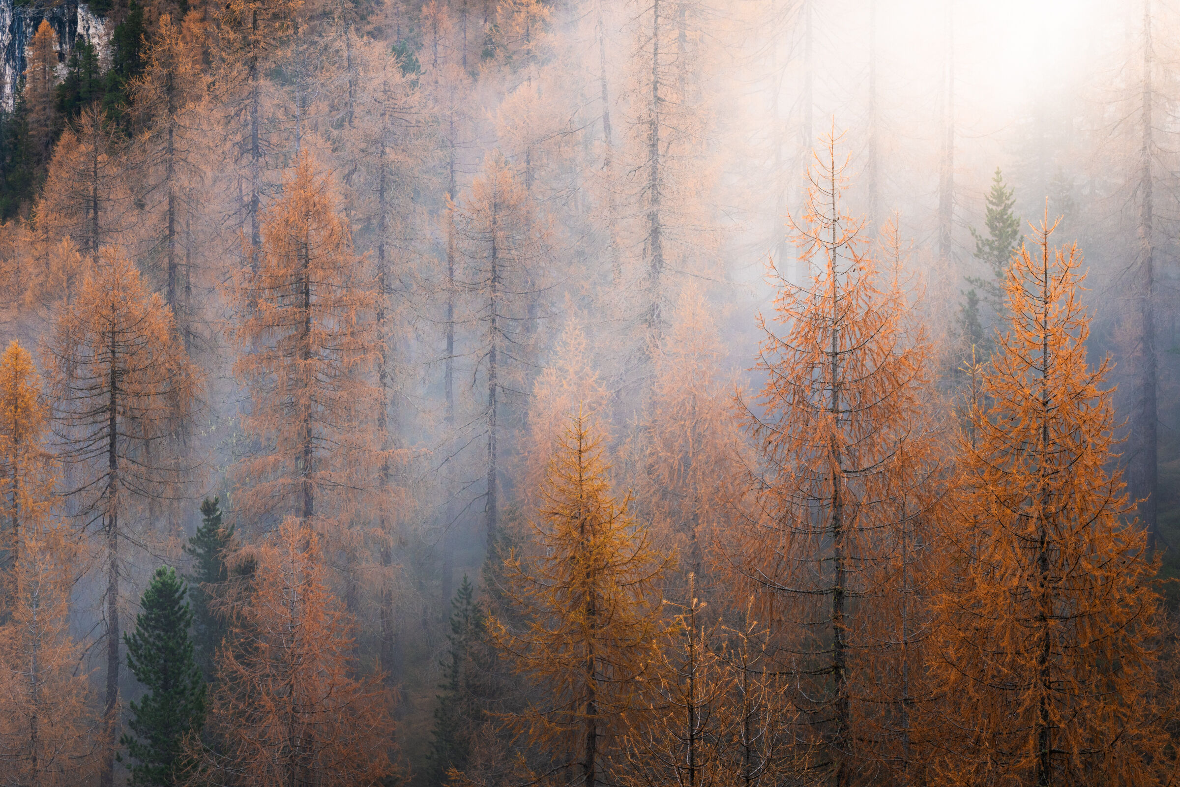 Untitled Photo