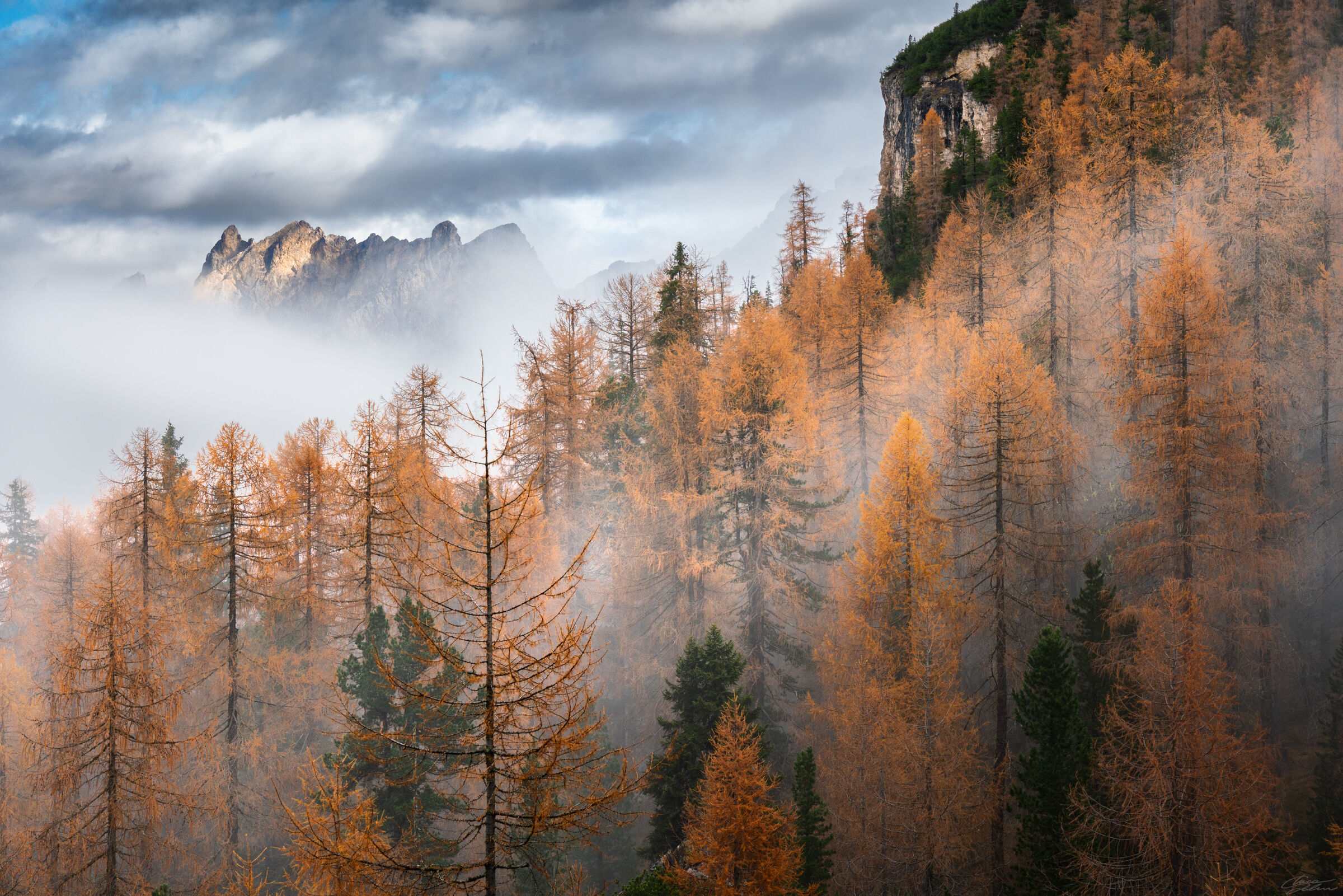 Untitled Photo