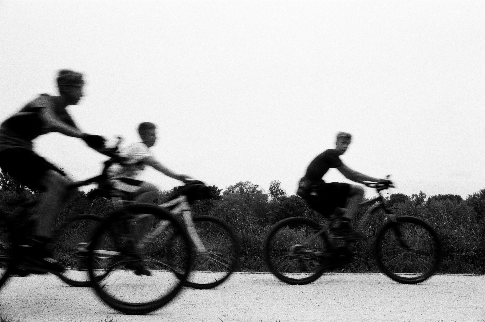 Parco Nord Milano, 2025