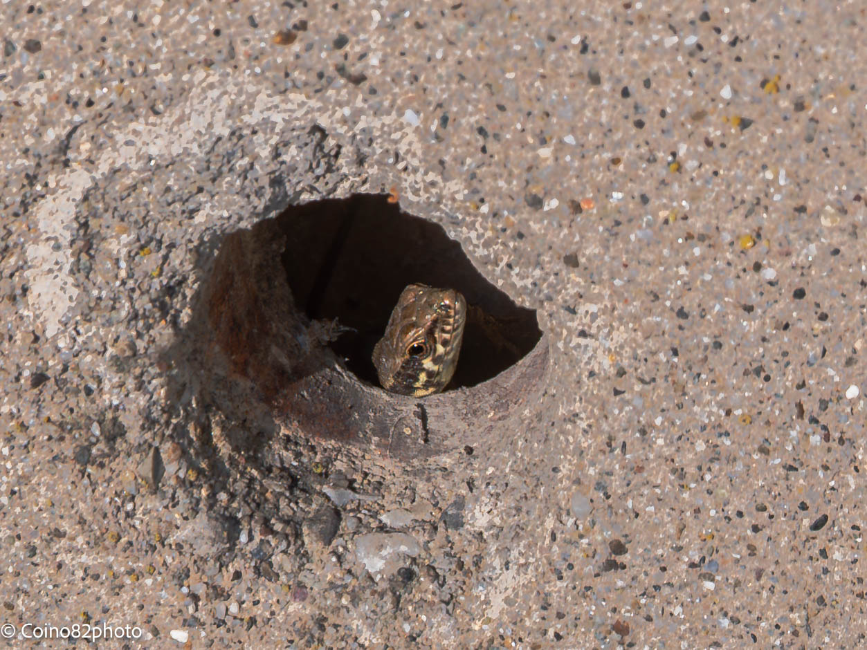 ultimi raggi di sole