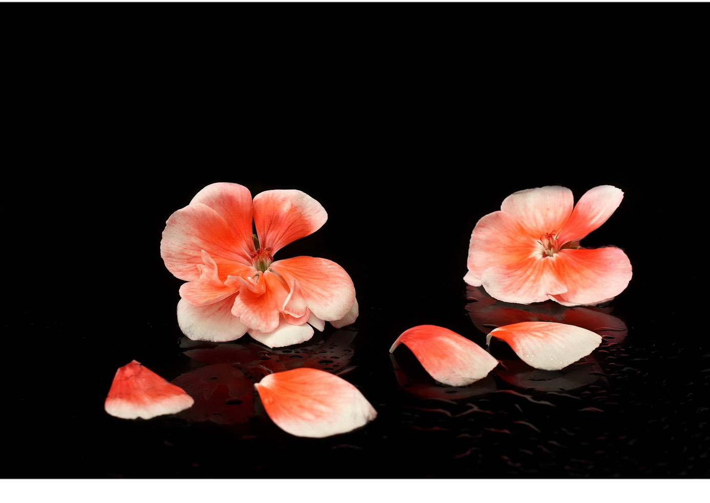 still life with flowers