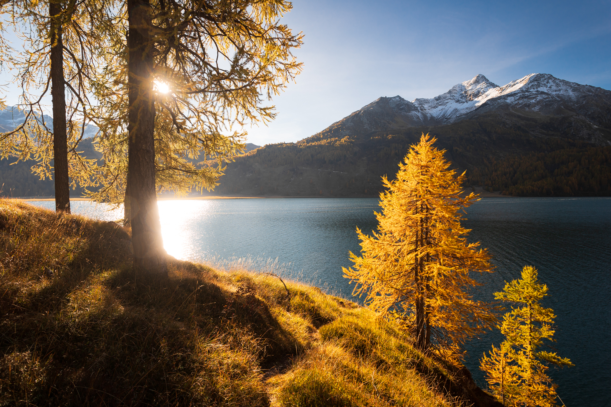 Lago di Sils
