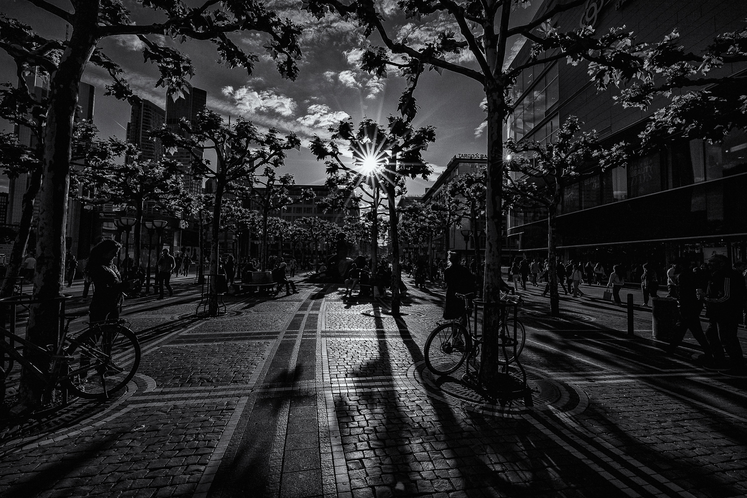 Shadows of Frankfurt