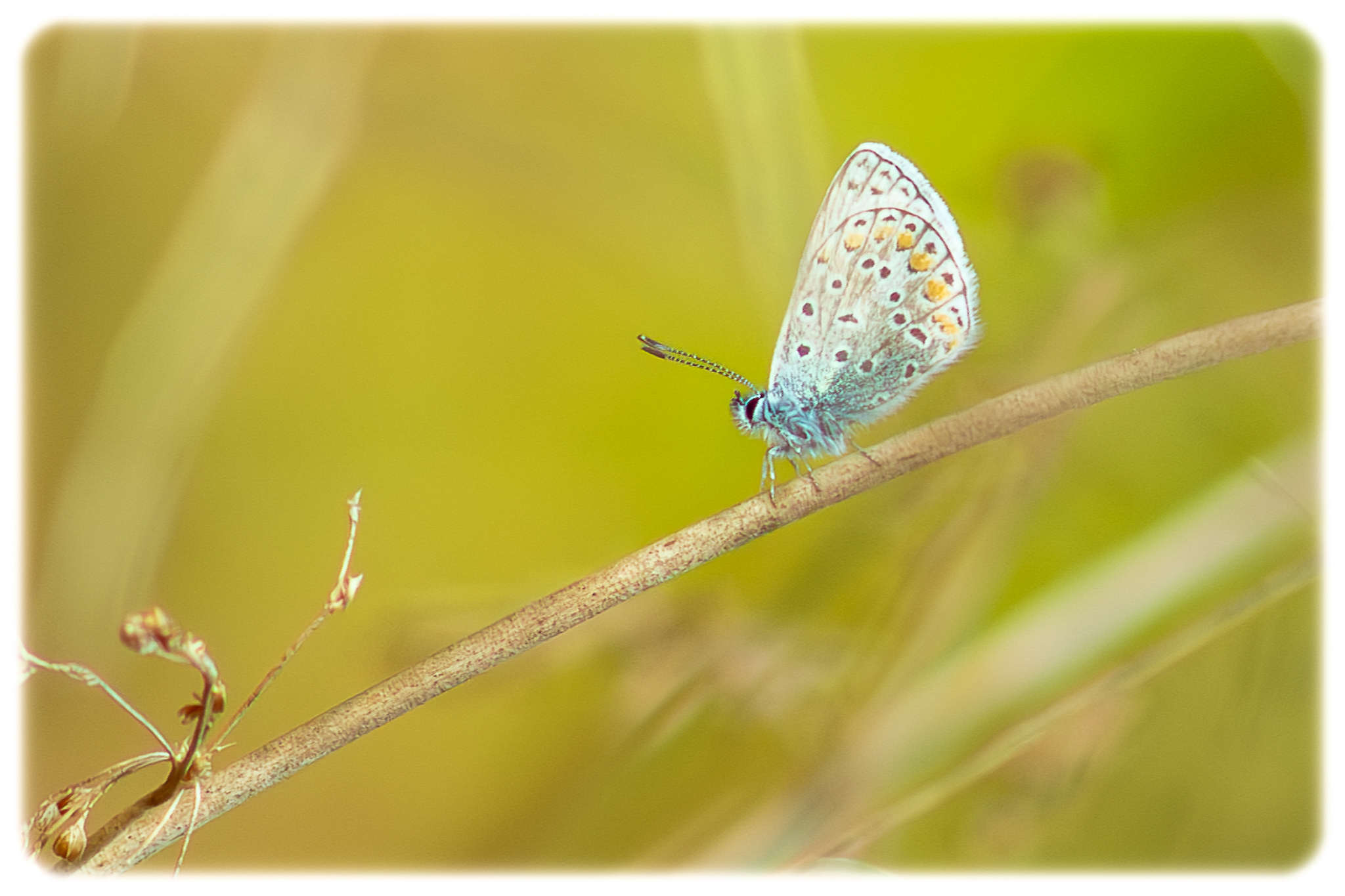 Una delle ultime dell'anno...