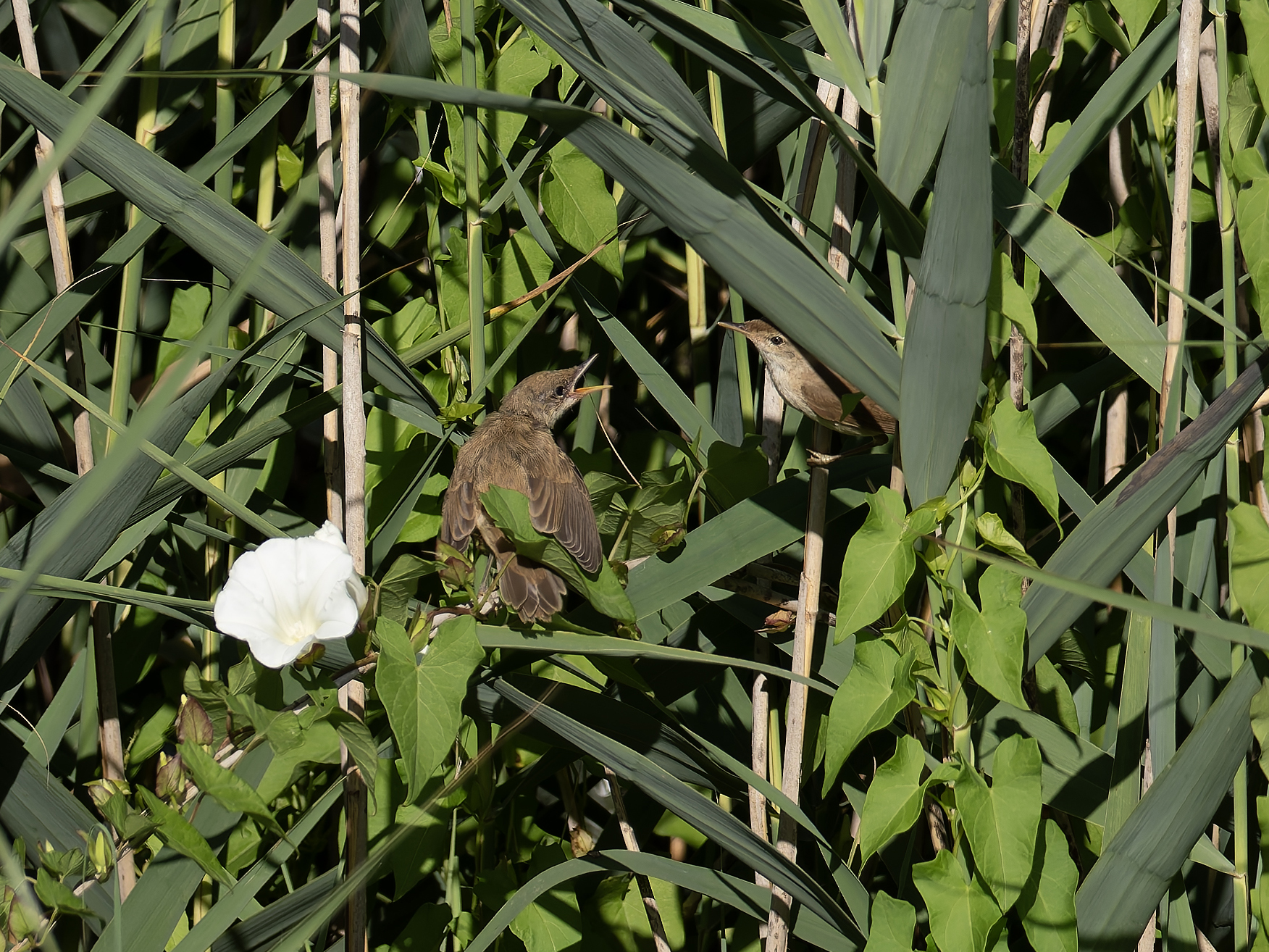 Untitled Photo