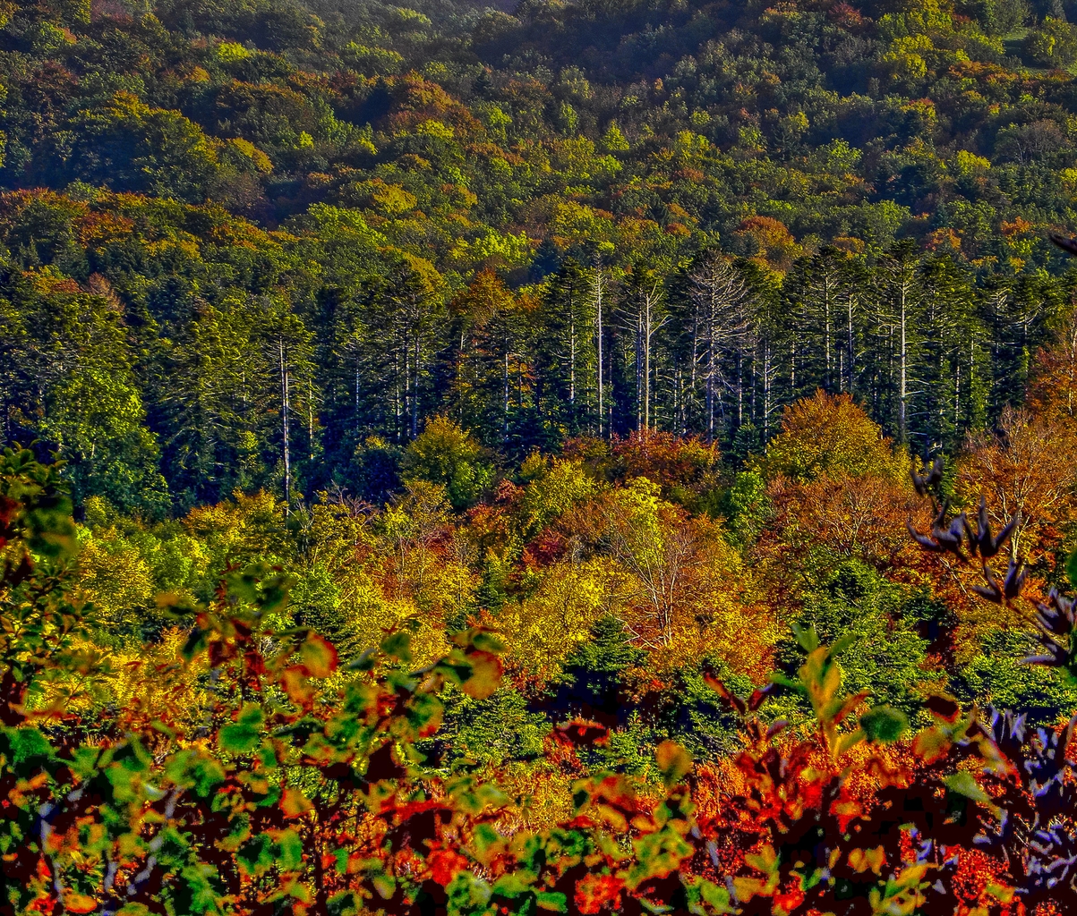 Francia - Franche-Comté