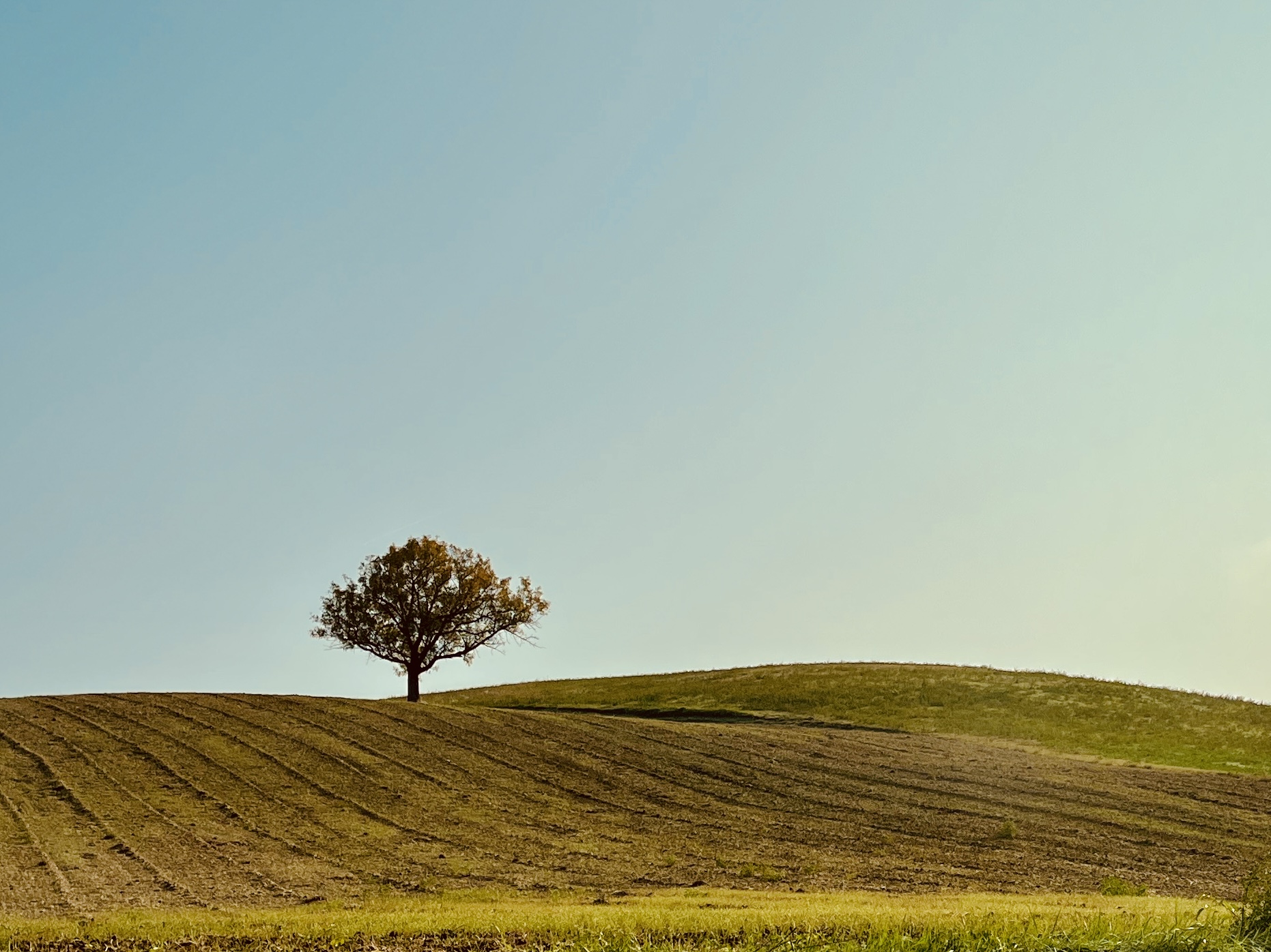 Hills