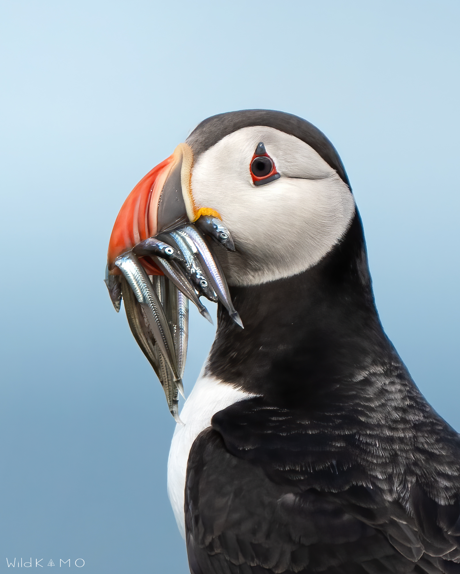 Una ghiotta colazione