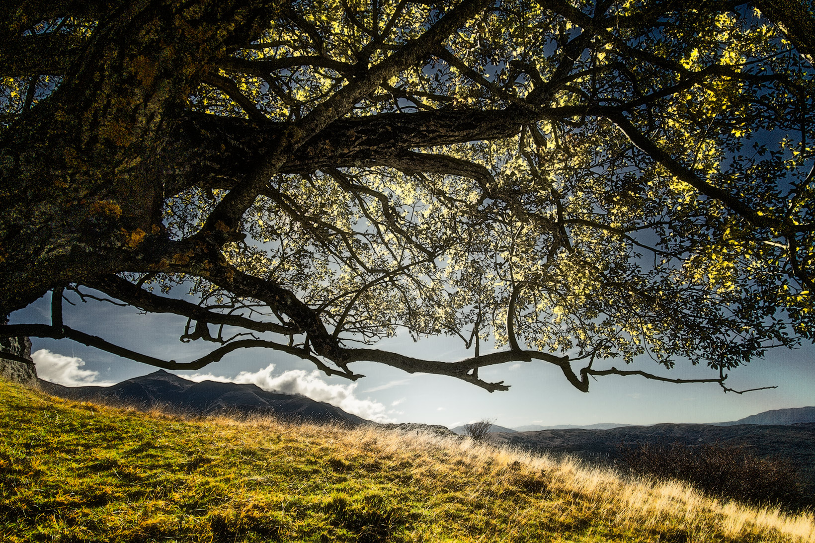 Towards Cima Lepri - October 2025