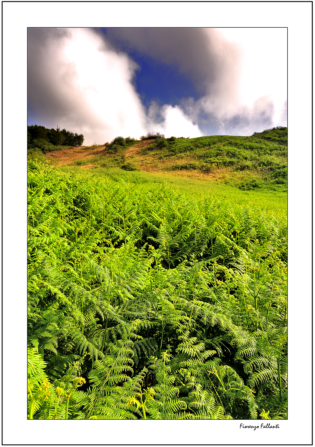 ..Estate in appennino..