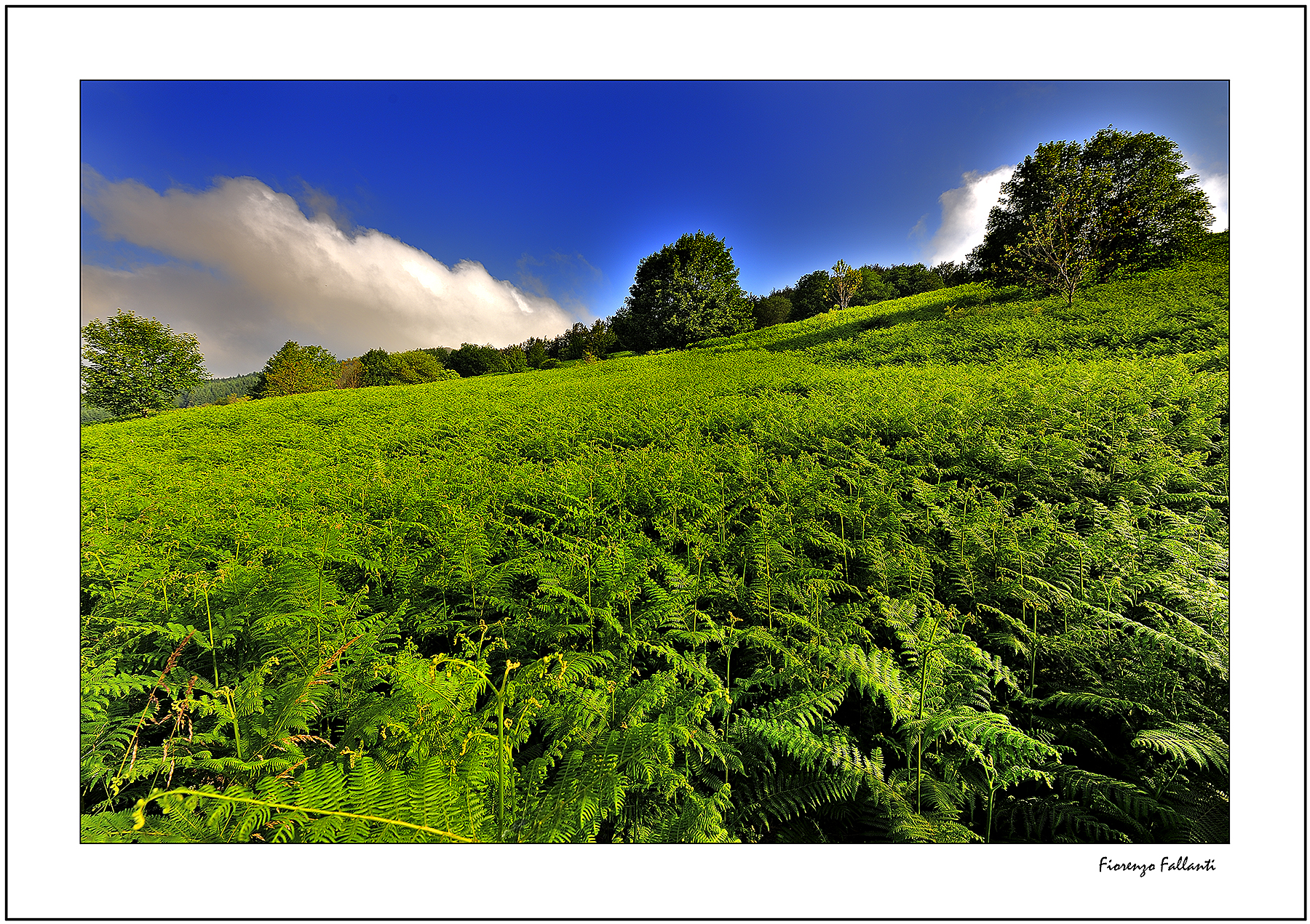 Summer in the Apennines .. ..