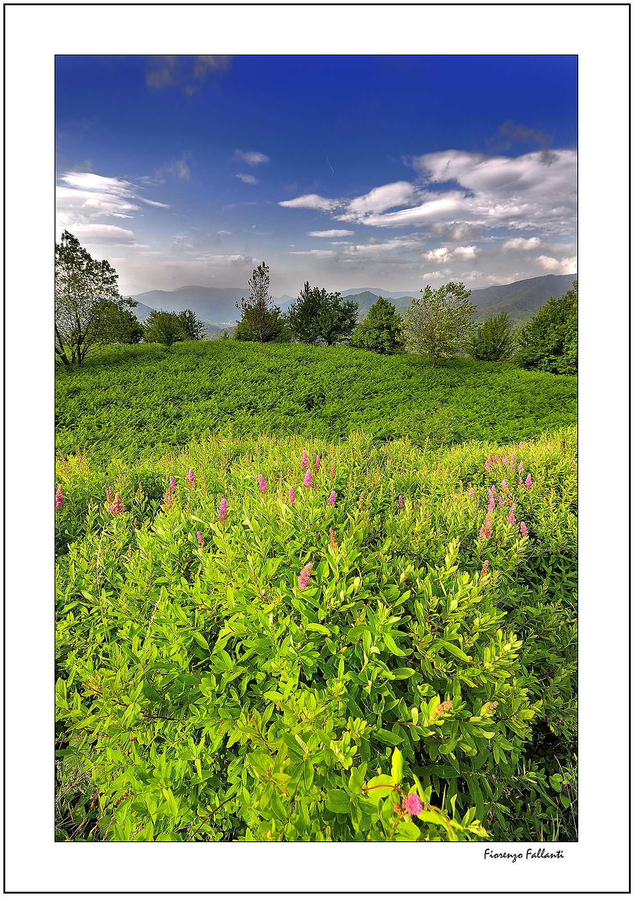 ..Estate in appennino..