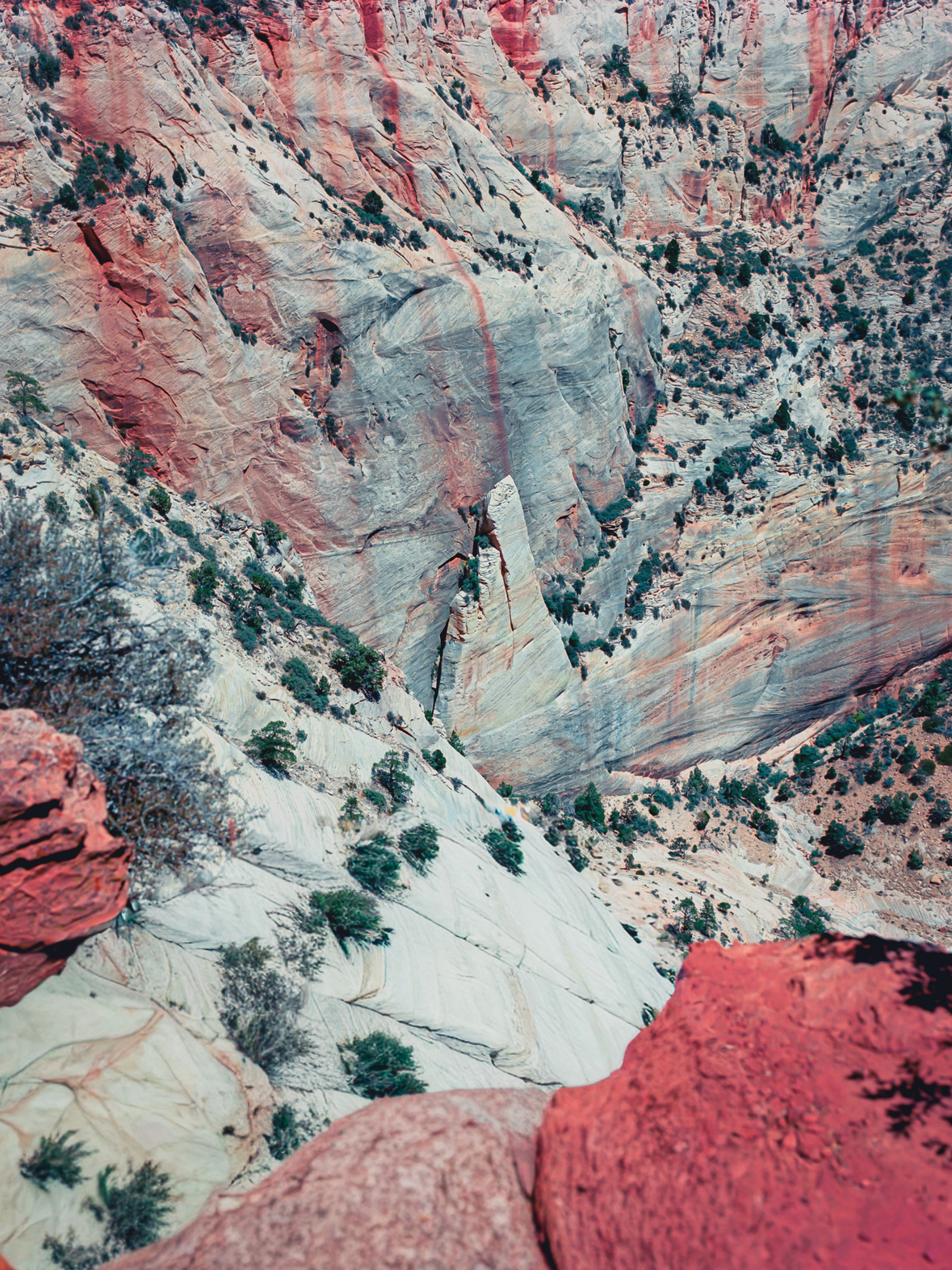 Zion National Park