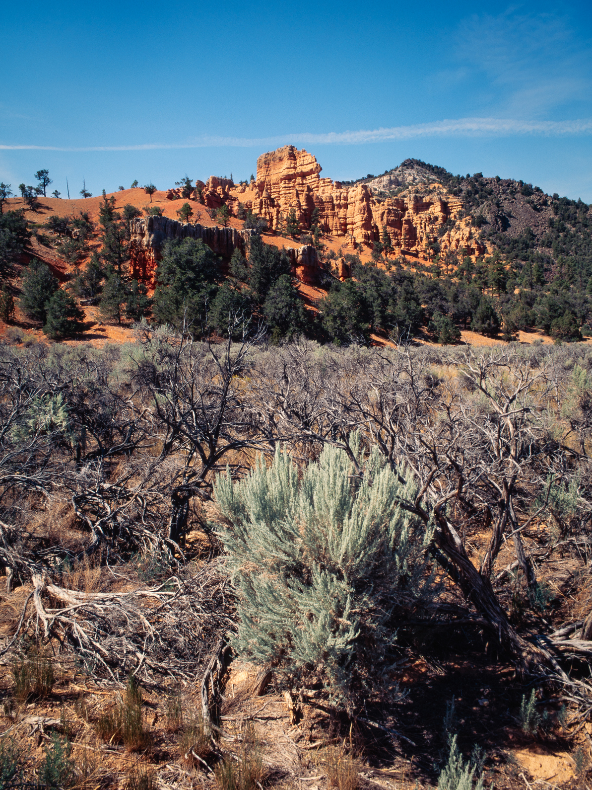 Red Canyon
