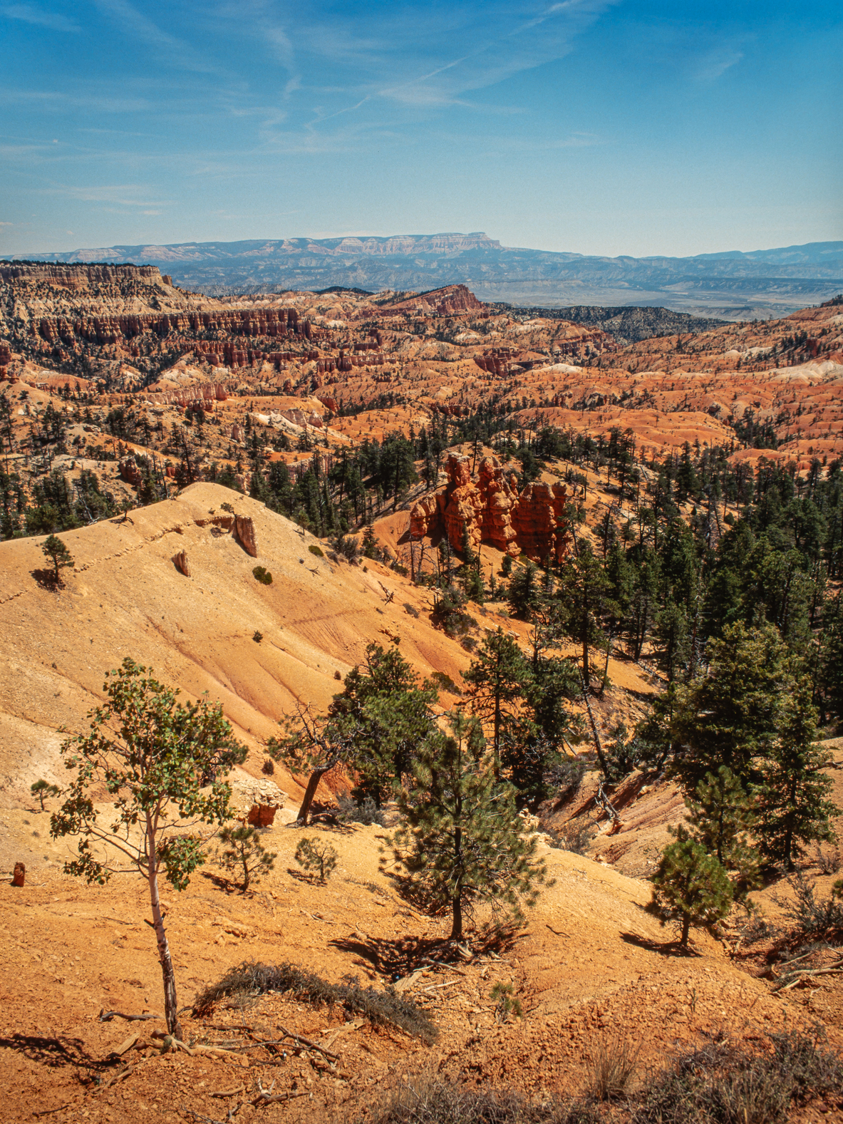 Bryce Canyon National Park