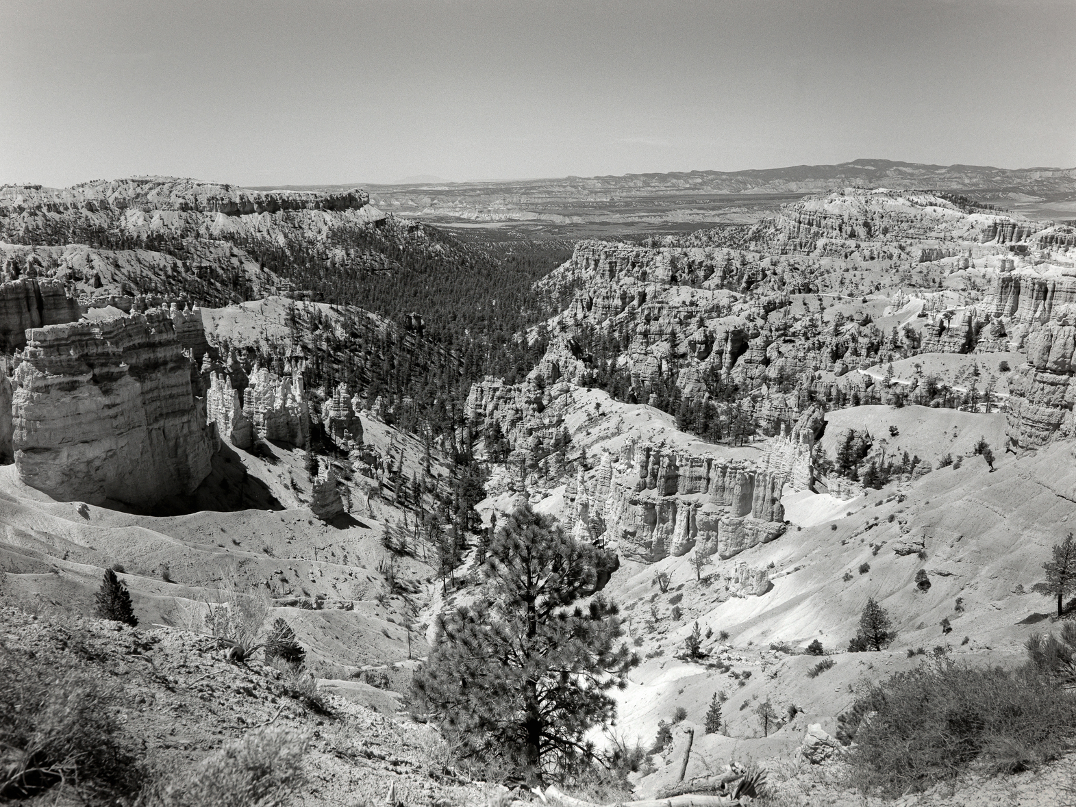 Bryce Canyon National Park