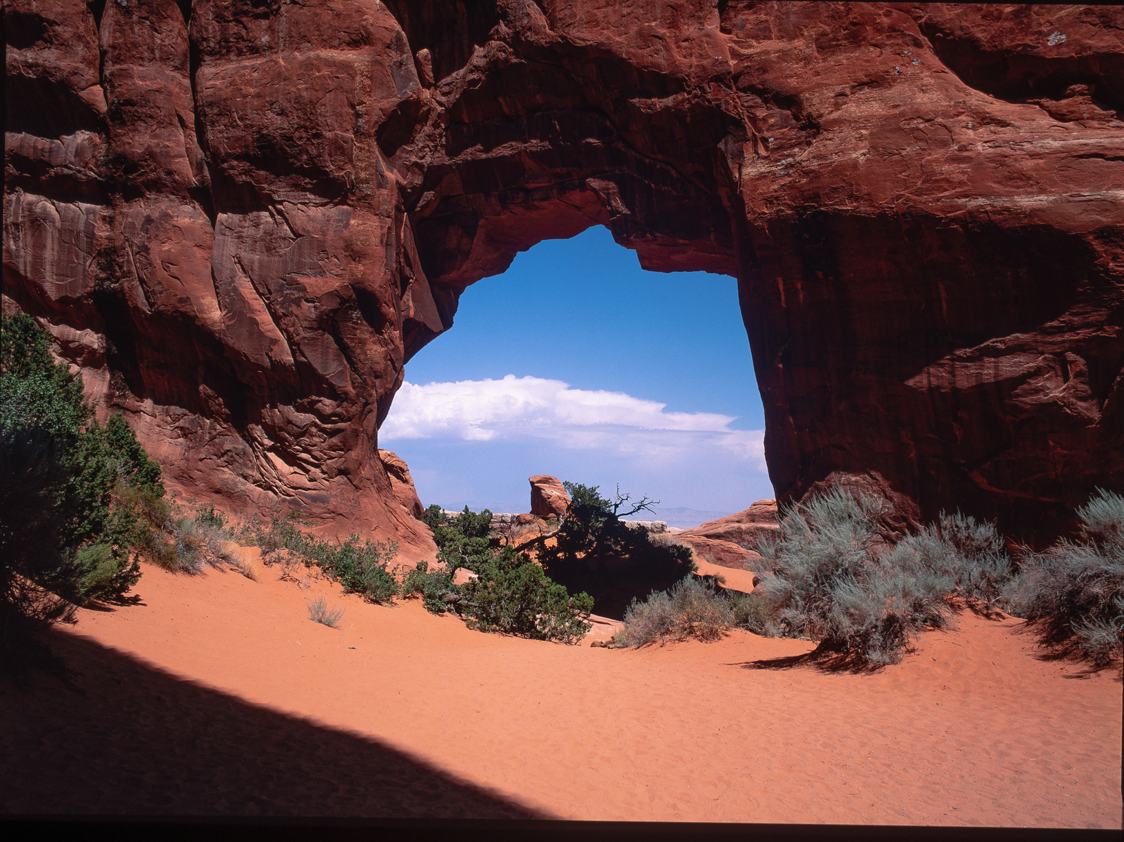Arches National Park