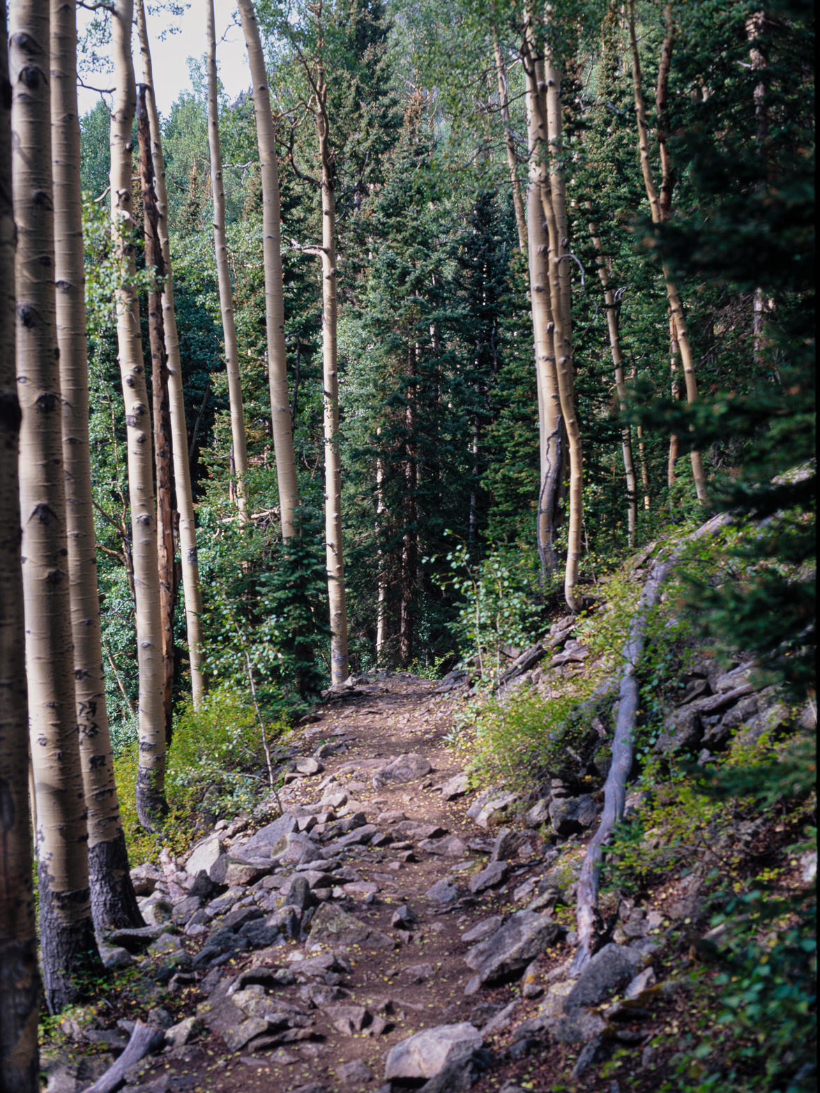 Lizard Head Pass