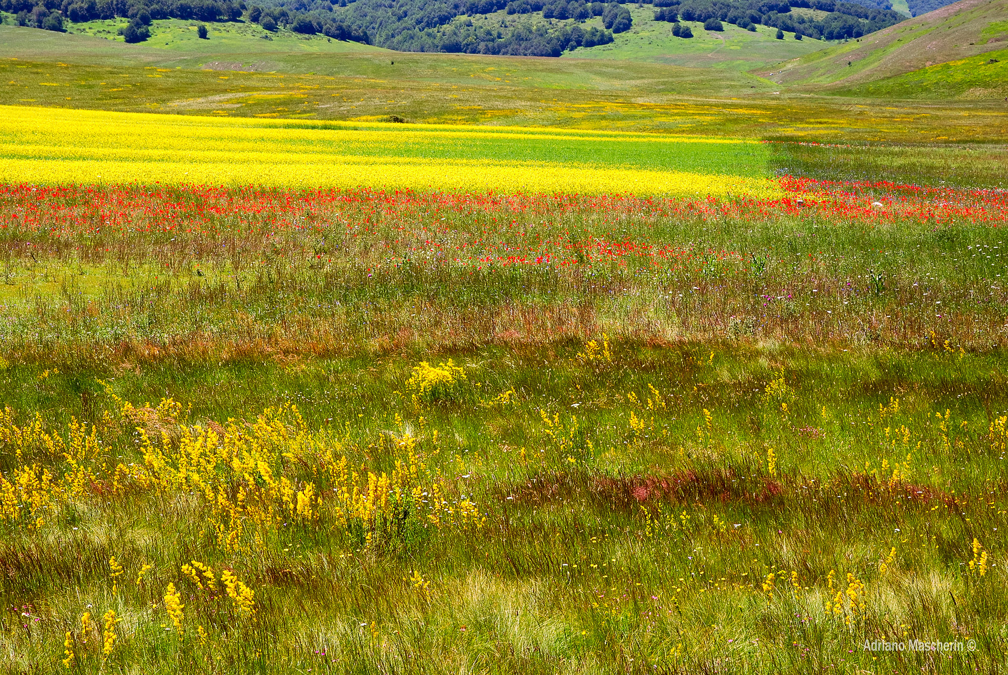 Tavolozza alle Pianacce