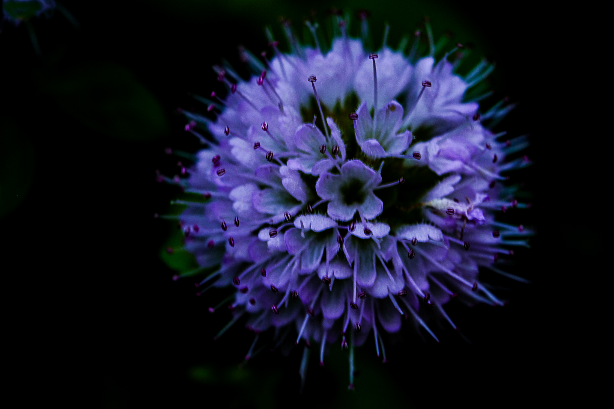 perché cosi mi piace