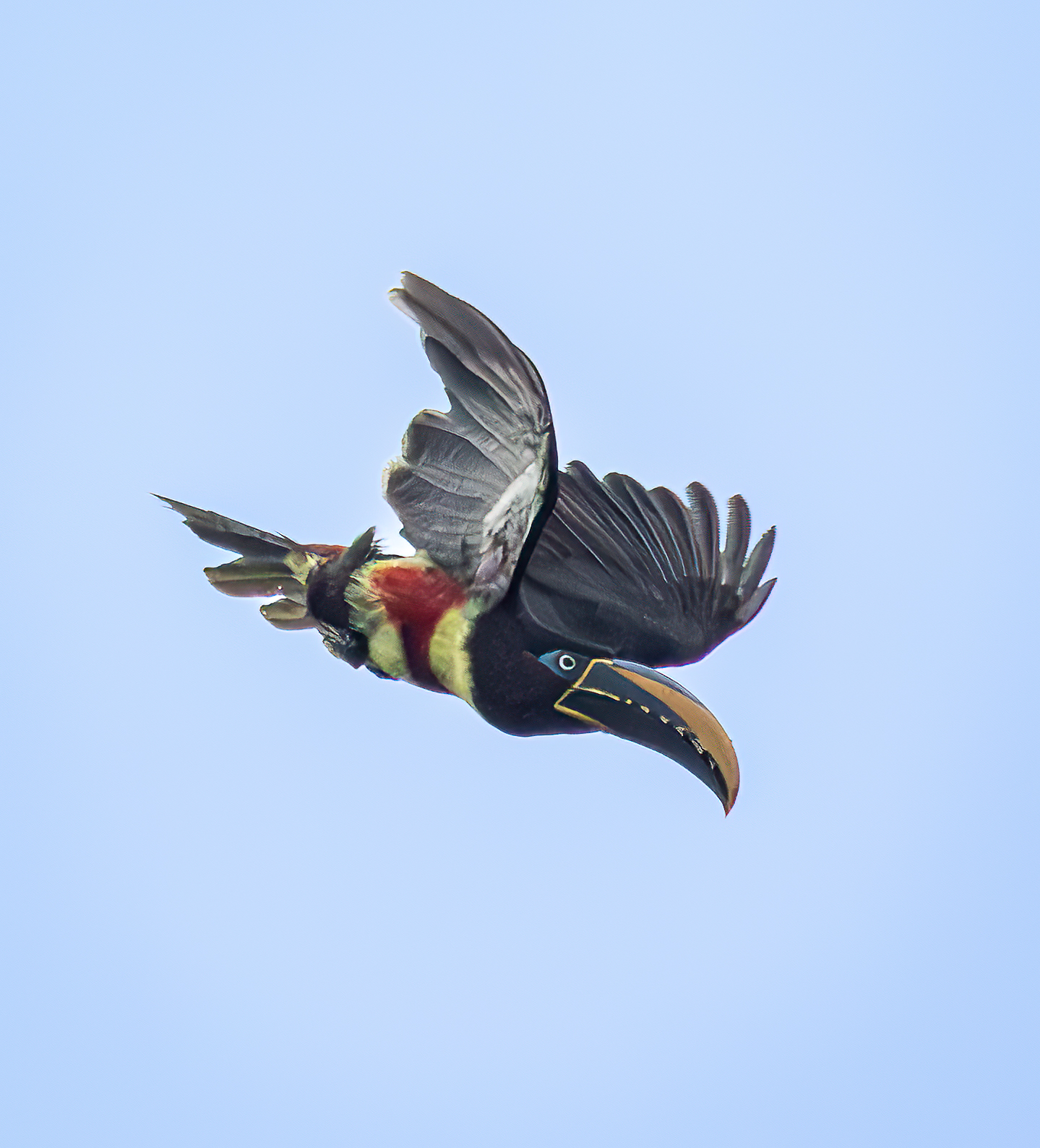 Ecuador 1