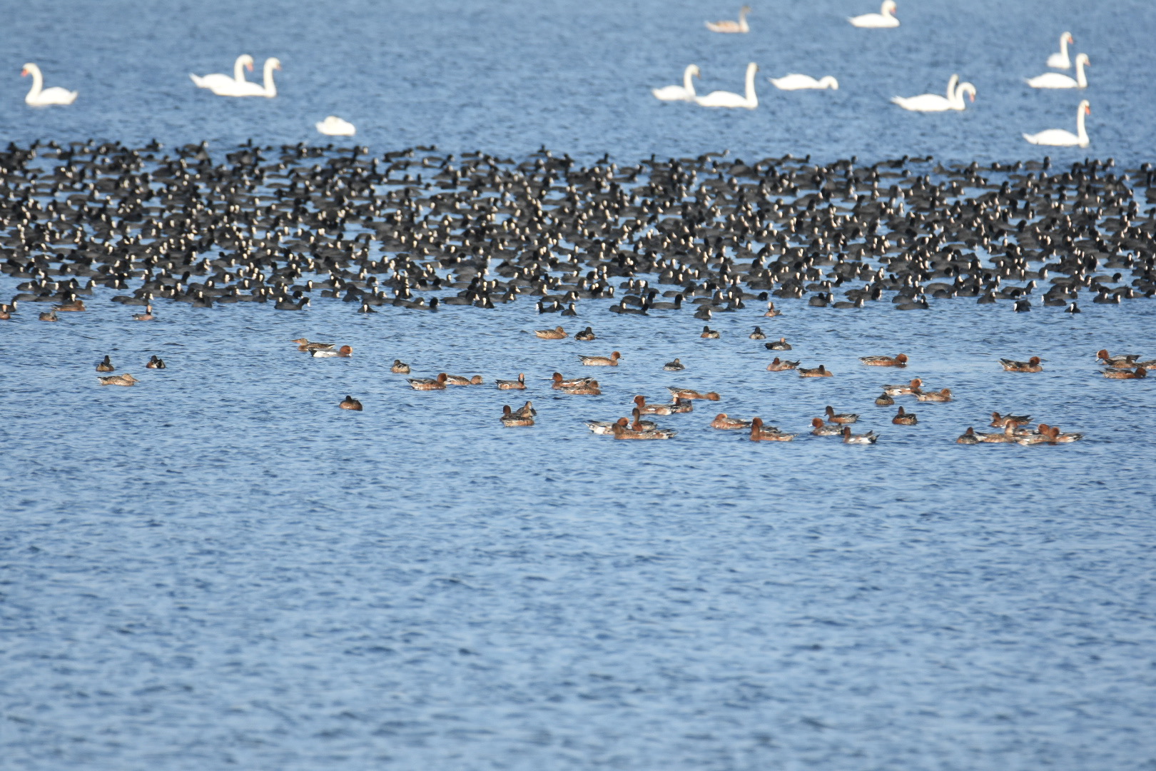 Untitled Photo