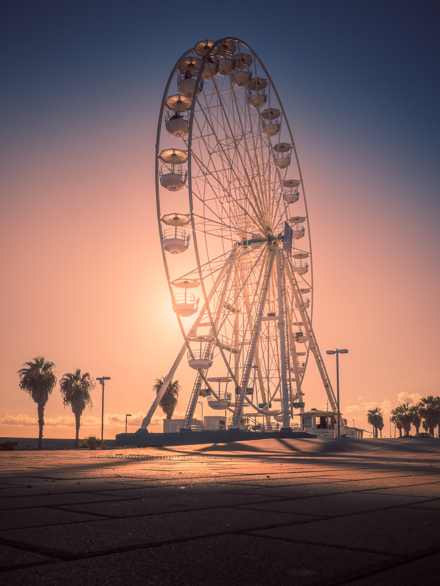 Untitled Photo