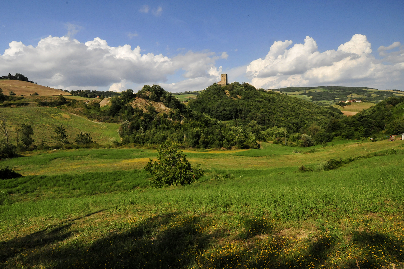 Hills