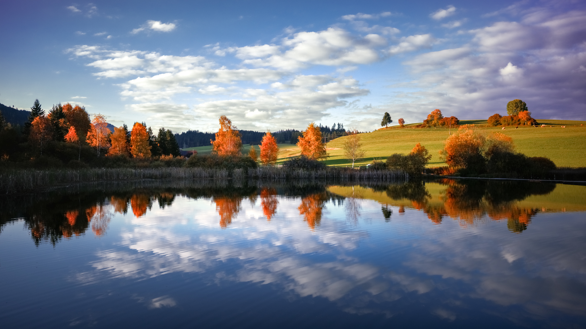 Mirror Lake