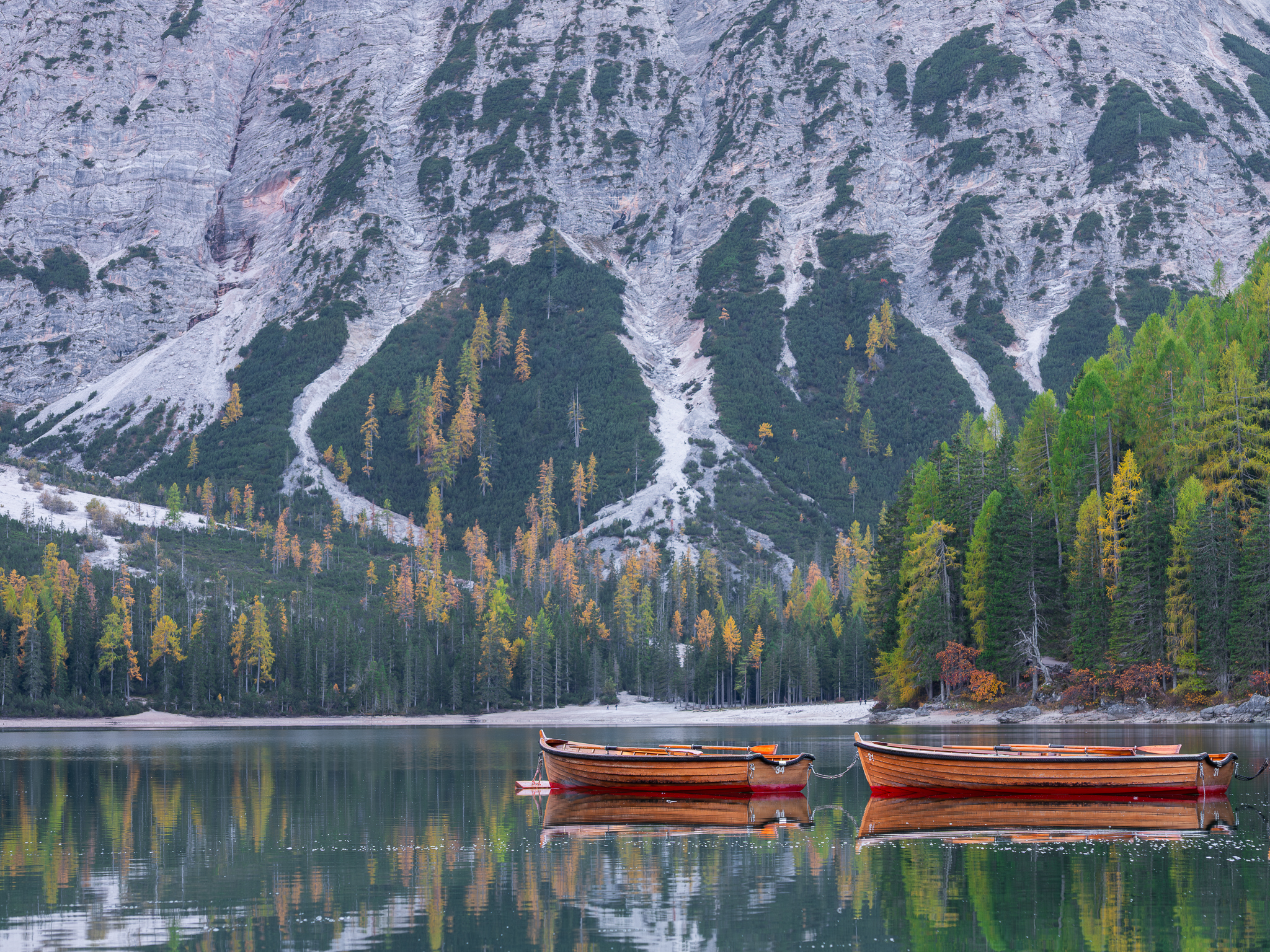 trip ended in Braise