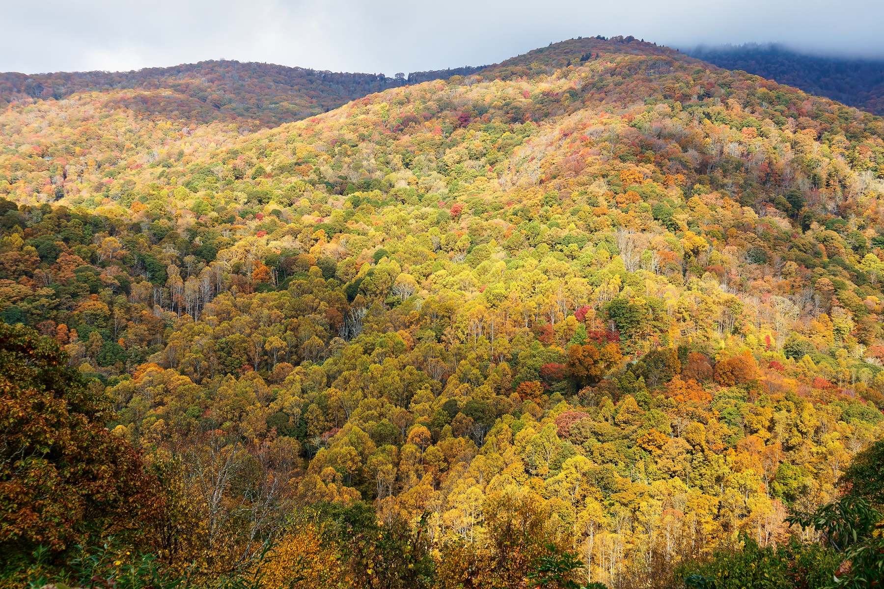 Mount Lyn Lowry View (BRP) 18 ottobre 2025