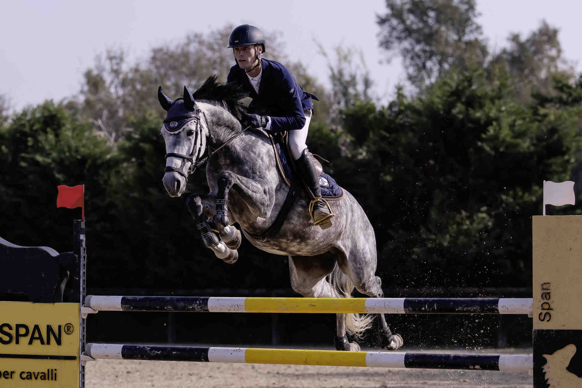 Jumping.. che spettacolo !