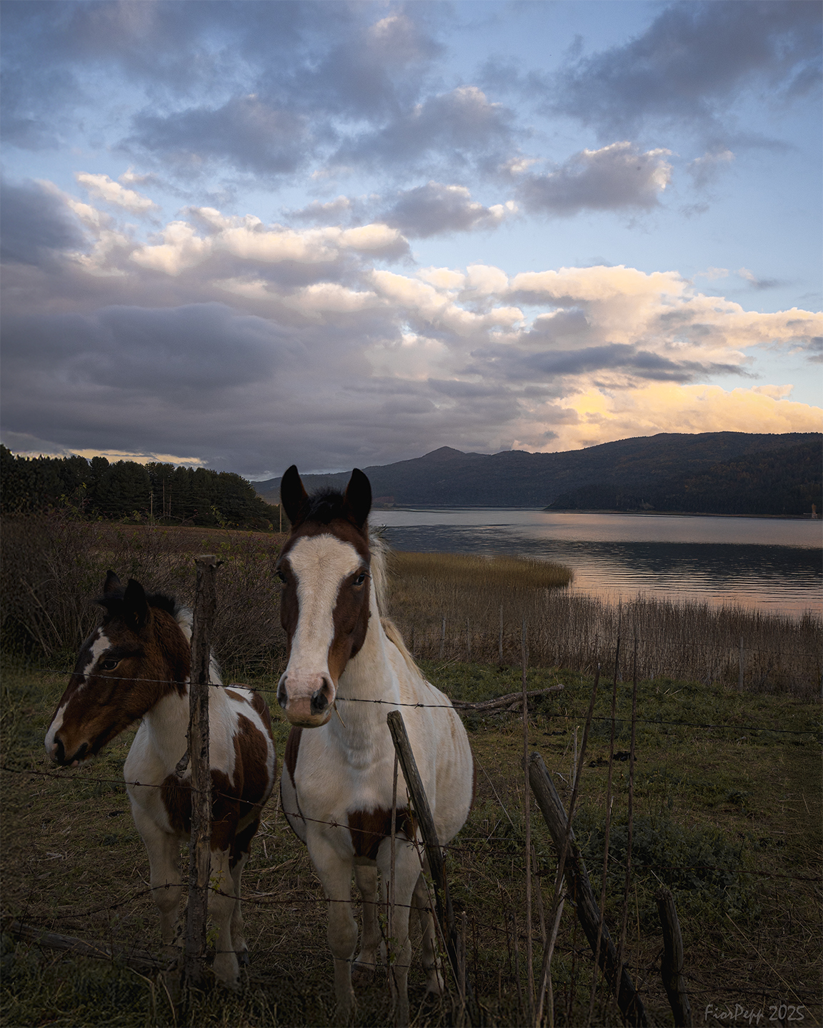 In posa davanti al lago
