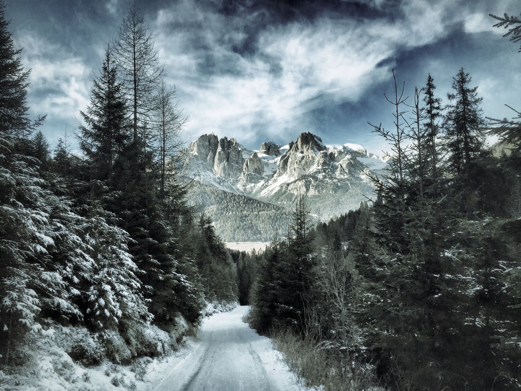 Dolomiti