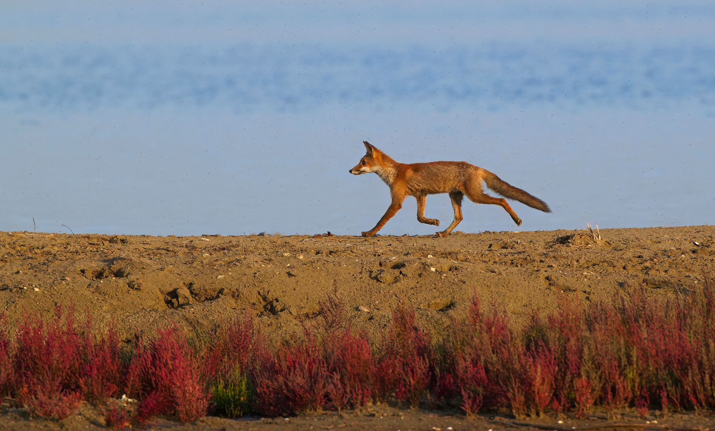 Al trotto lungo lago