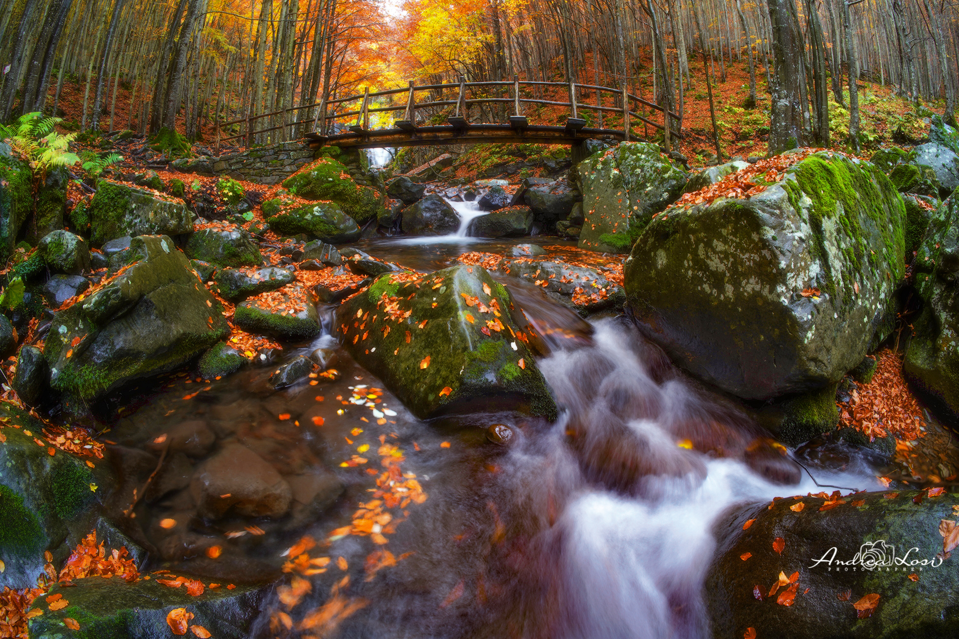 foliage alle cascate del dardagna