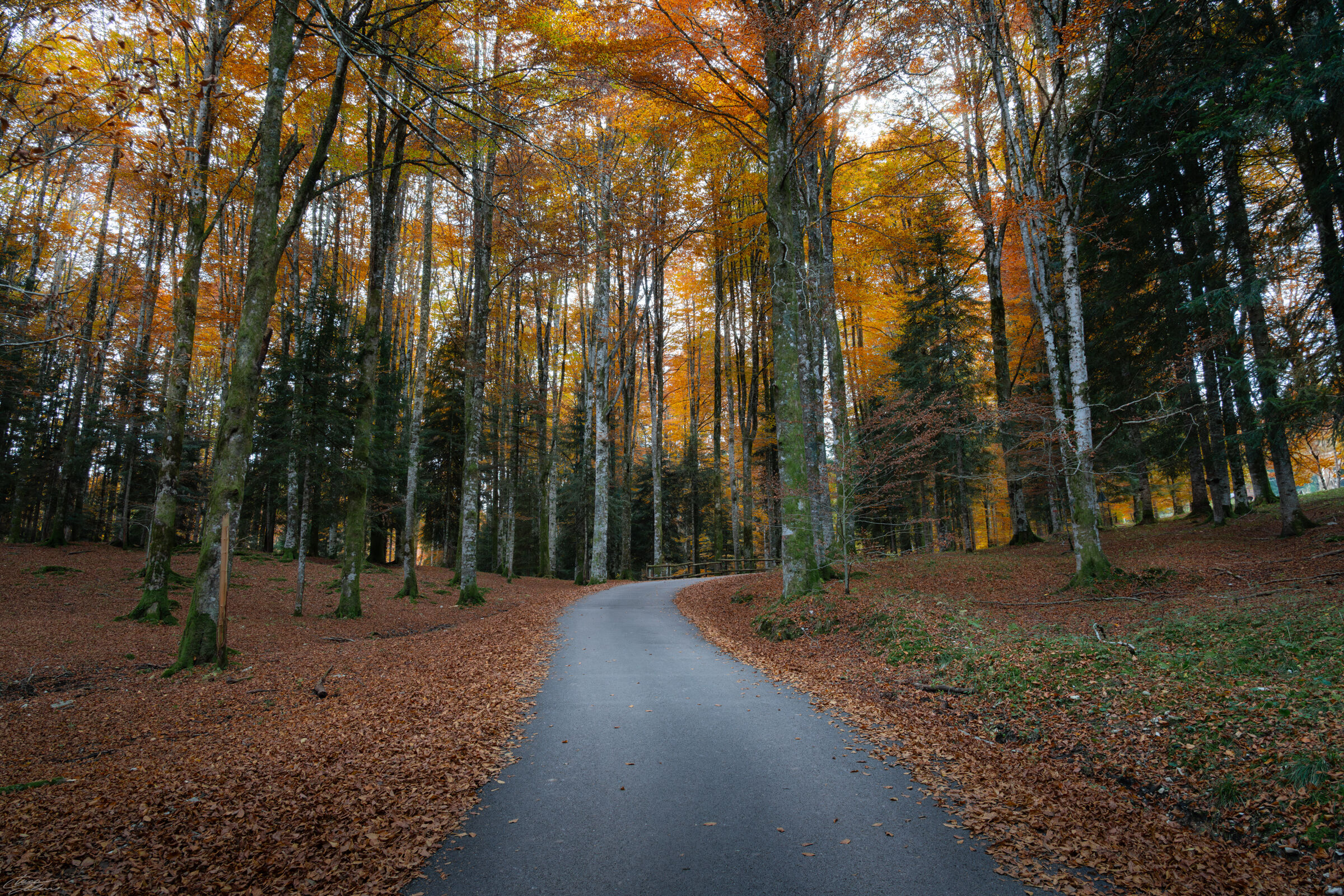 Untitled Photo