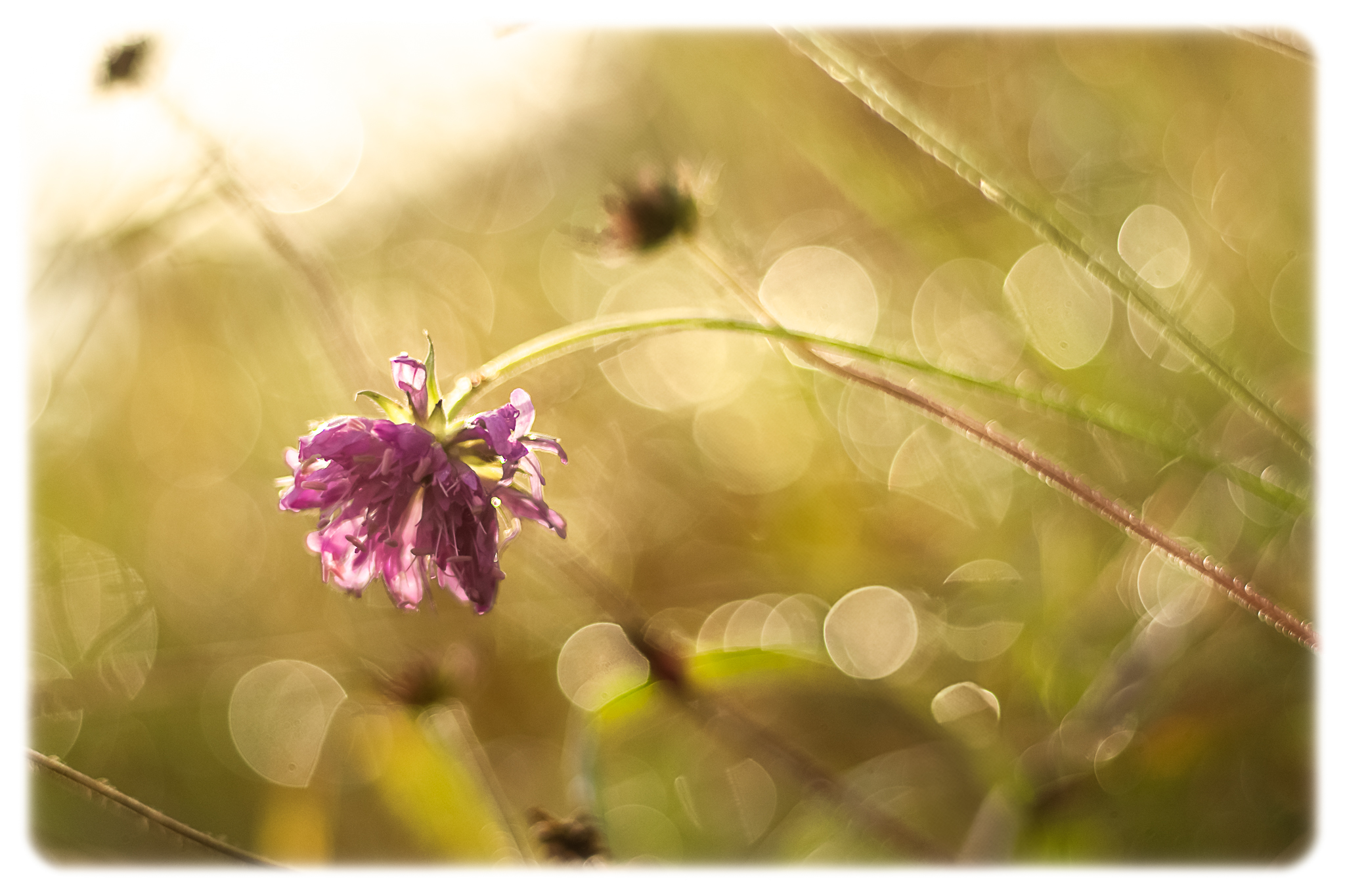 After the October rain