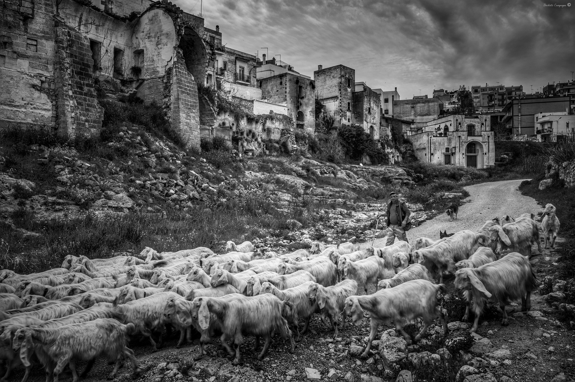 Between the ravine of Ginosa