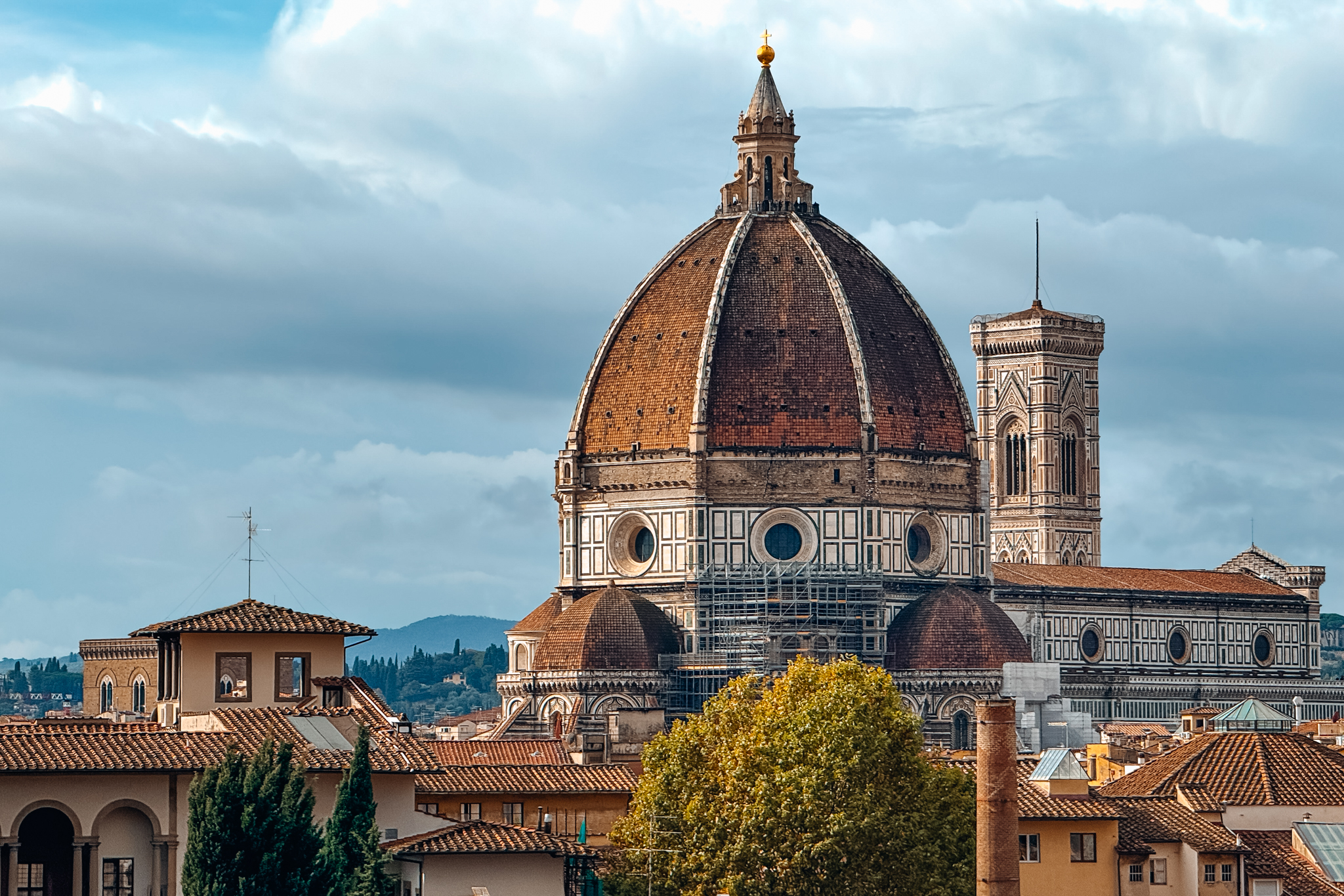 From the Aula Altana in Via Laura