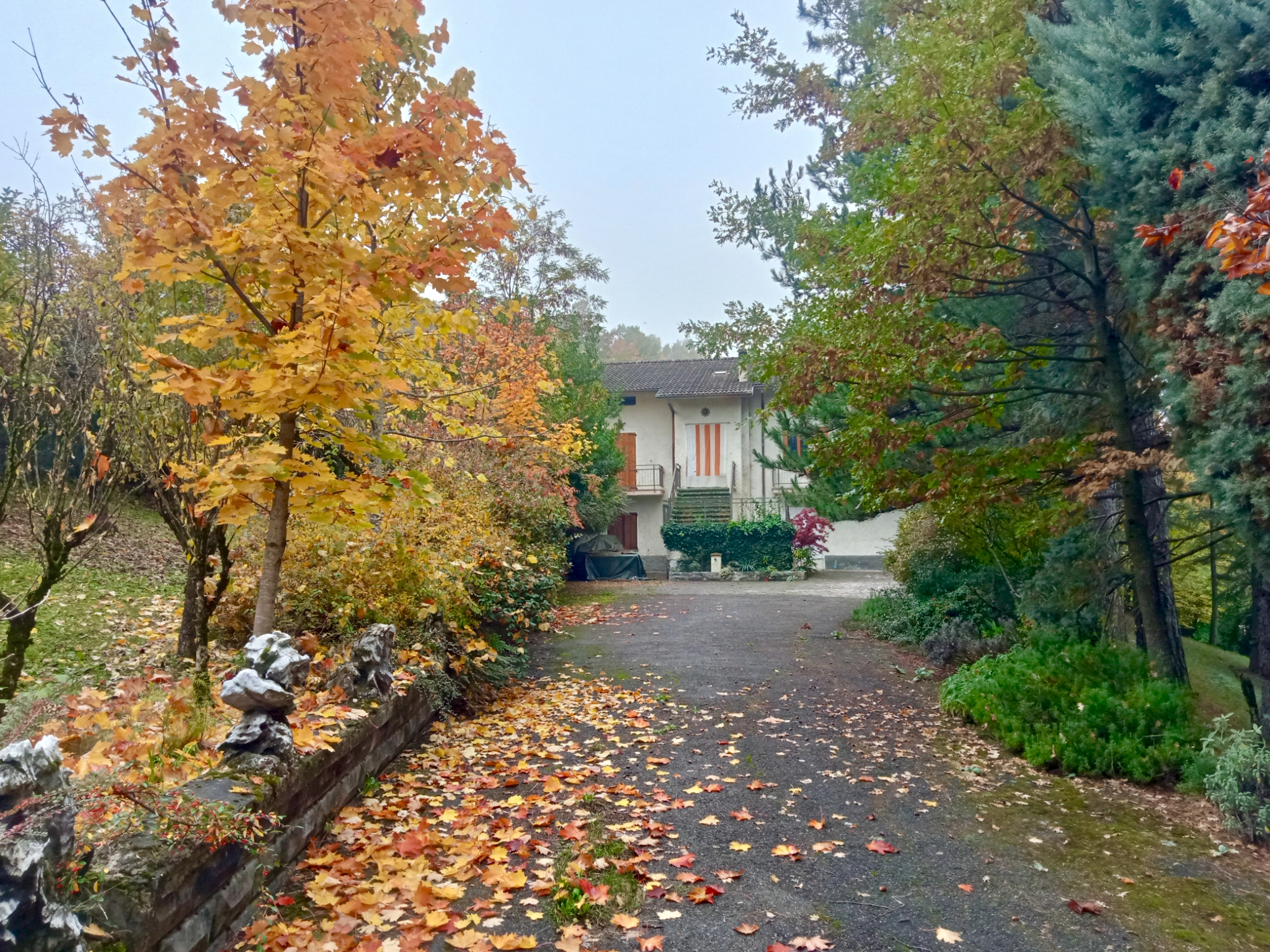 Valbucciana 22/10/2025