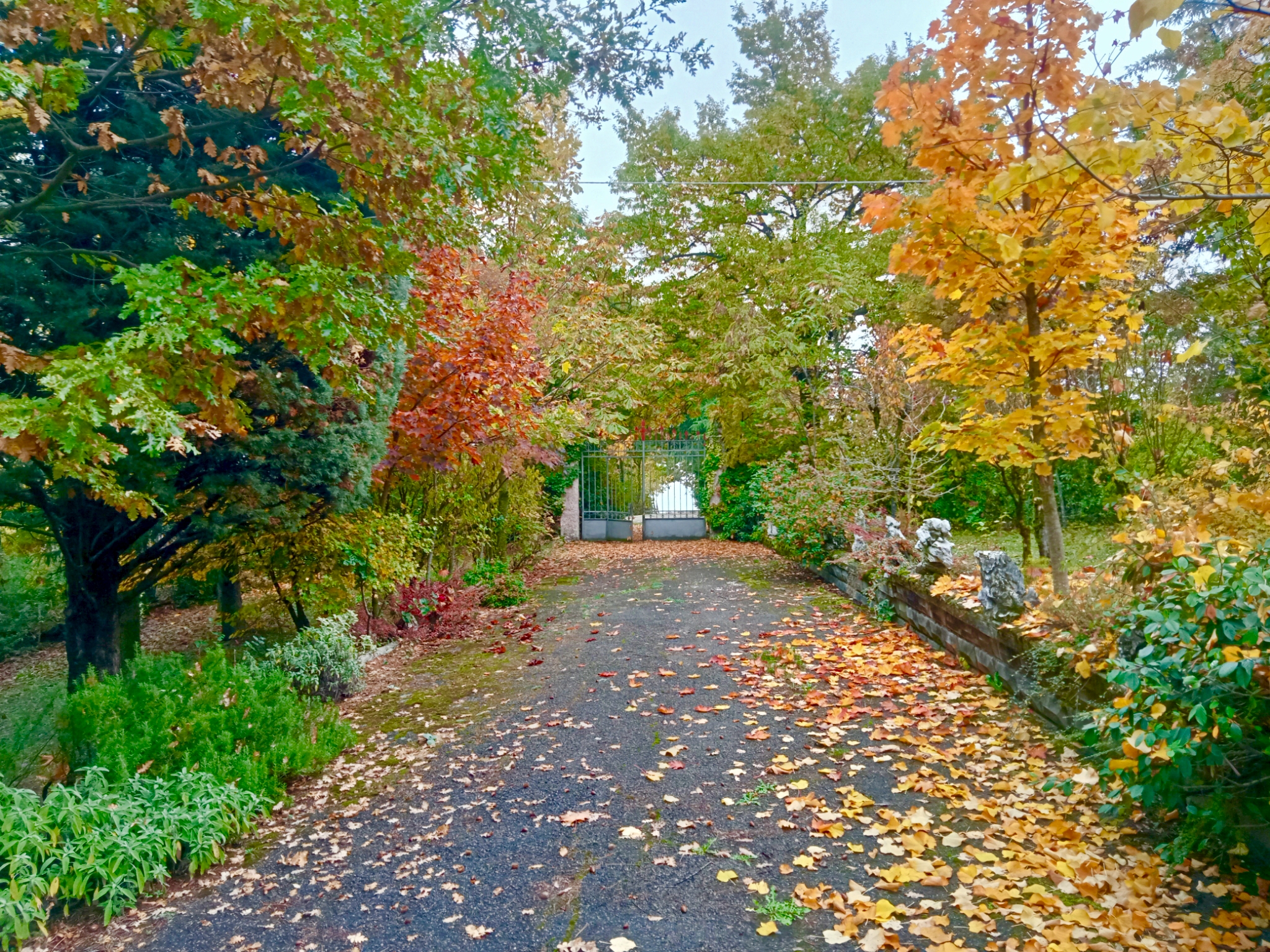 Valbucciana 22/10/2025