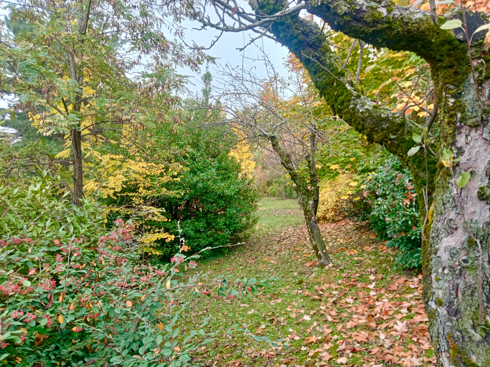 Valbucciana 22/10/2025