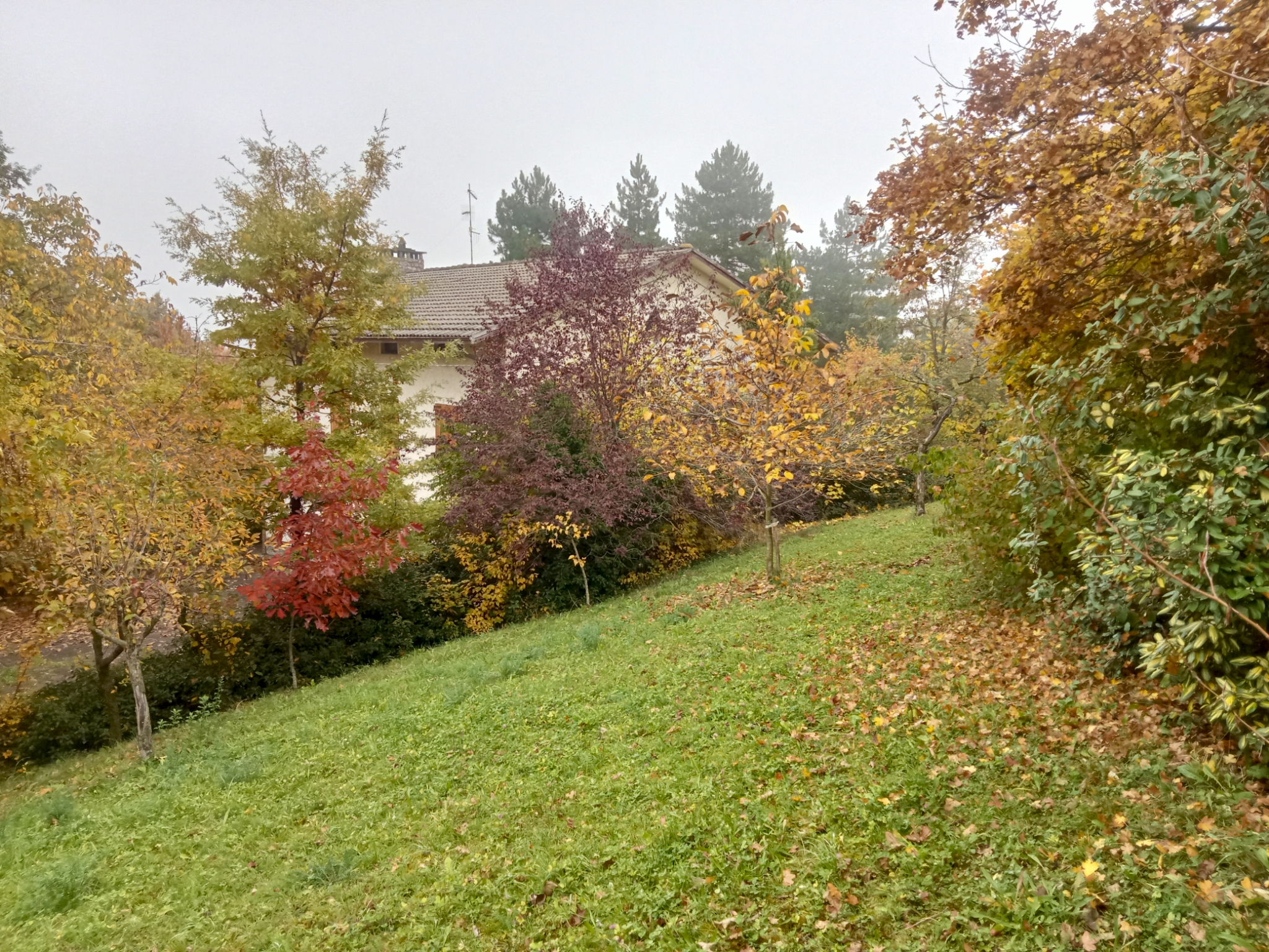 Valbucciana 22/10/2025