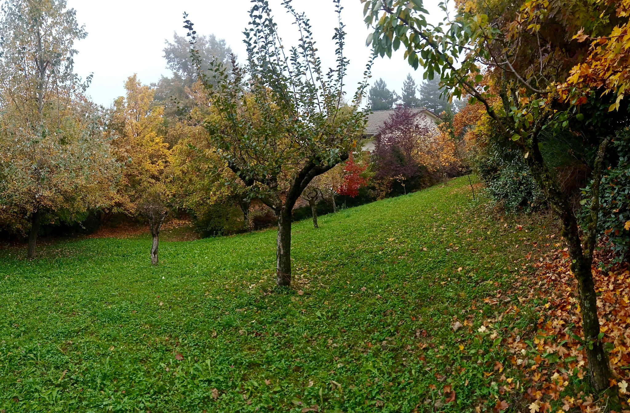 Valbucciana 22/10/2025