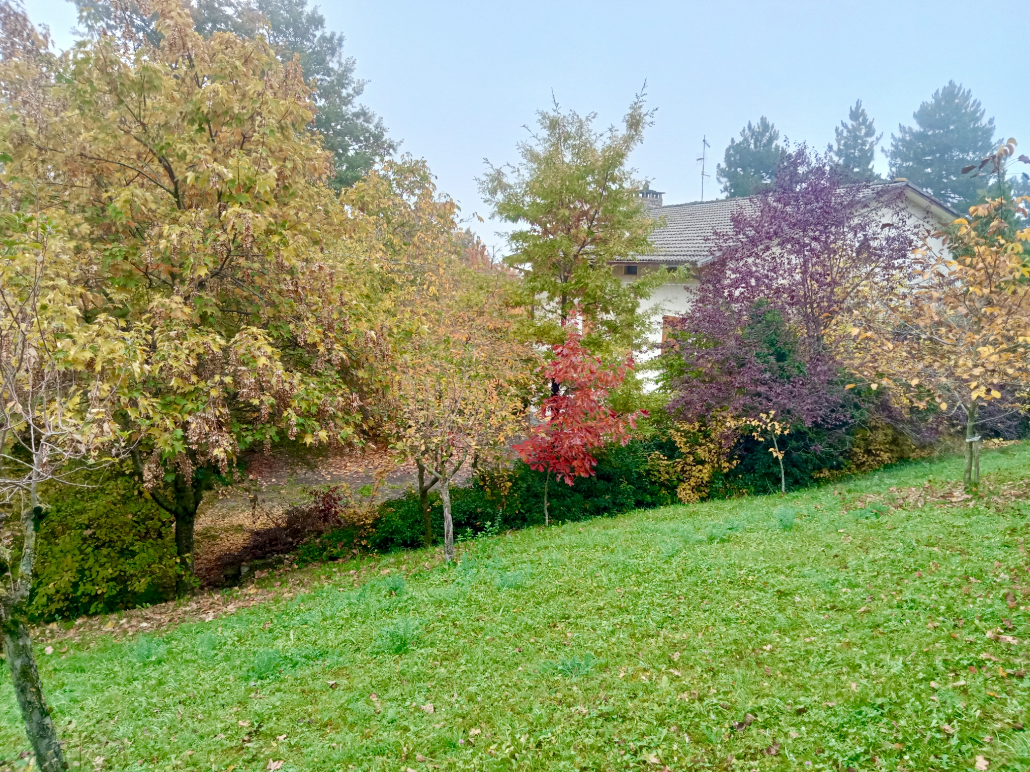 Valbucciana 22/10/2025