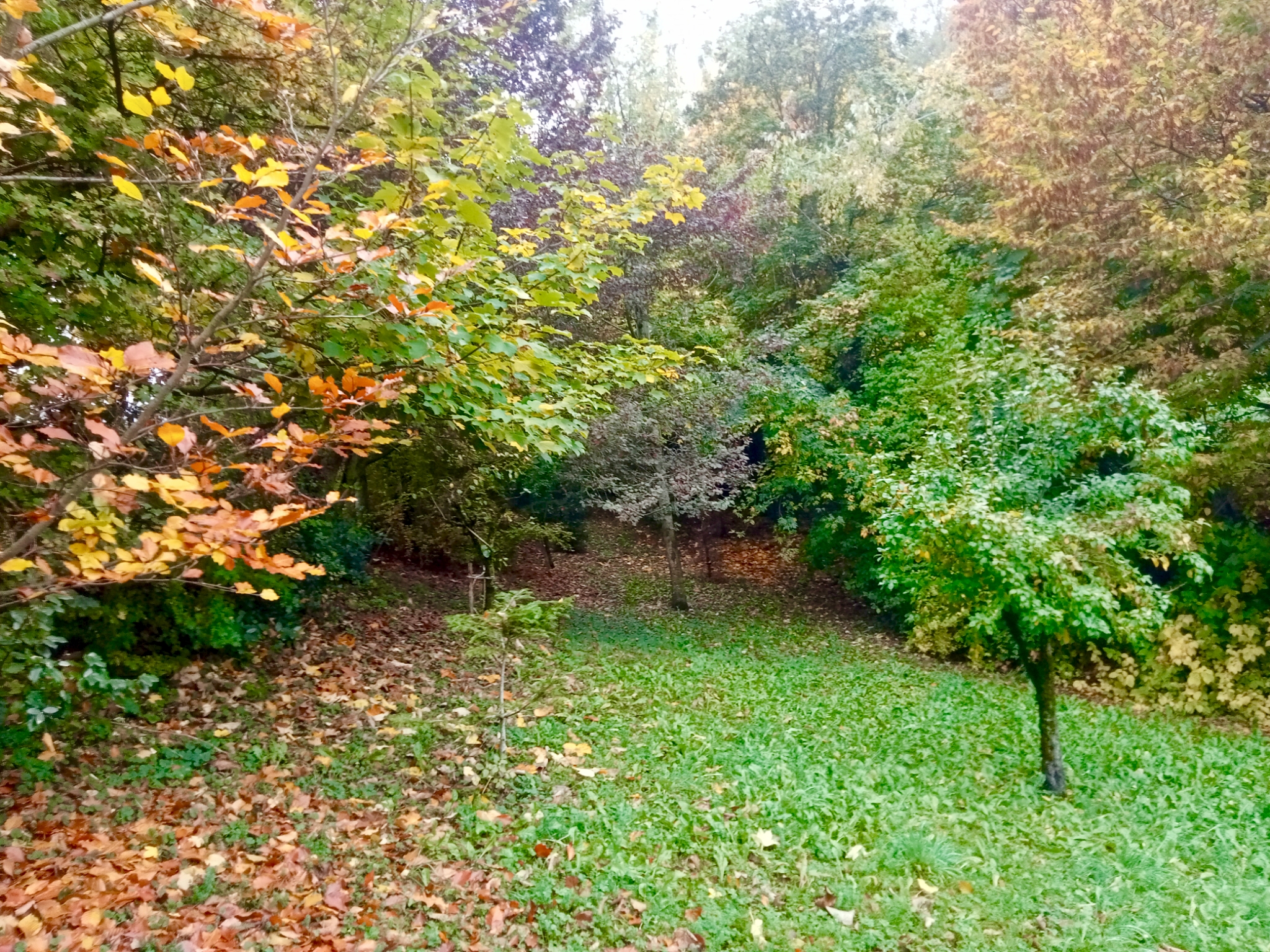 Valbucciana 22/10/2025